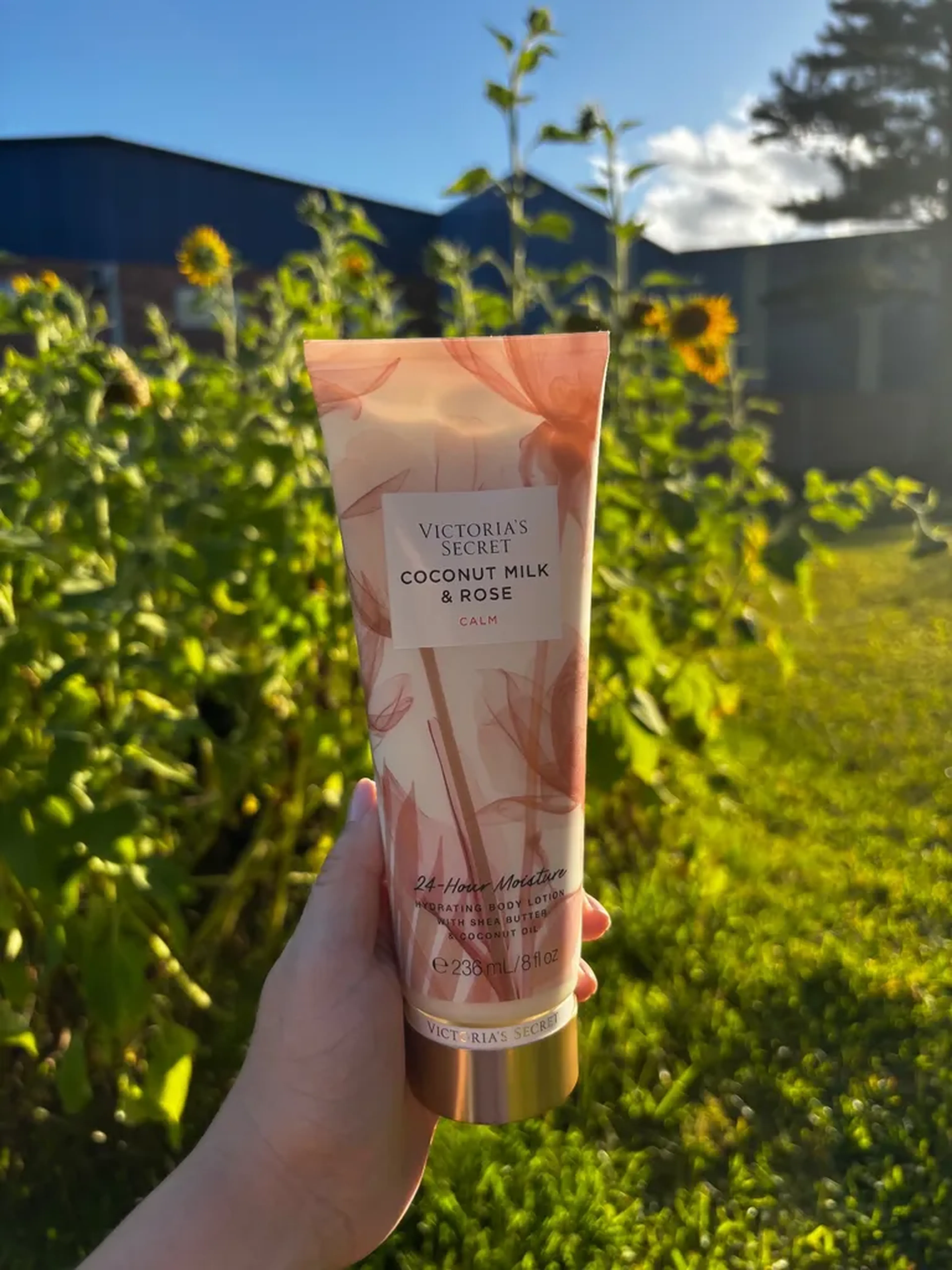 Hidratante corporal Coconut Milk and Rose Victoria’s Secret imagem