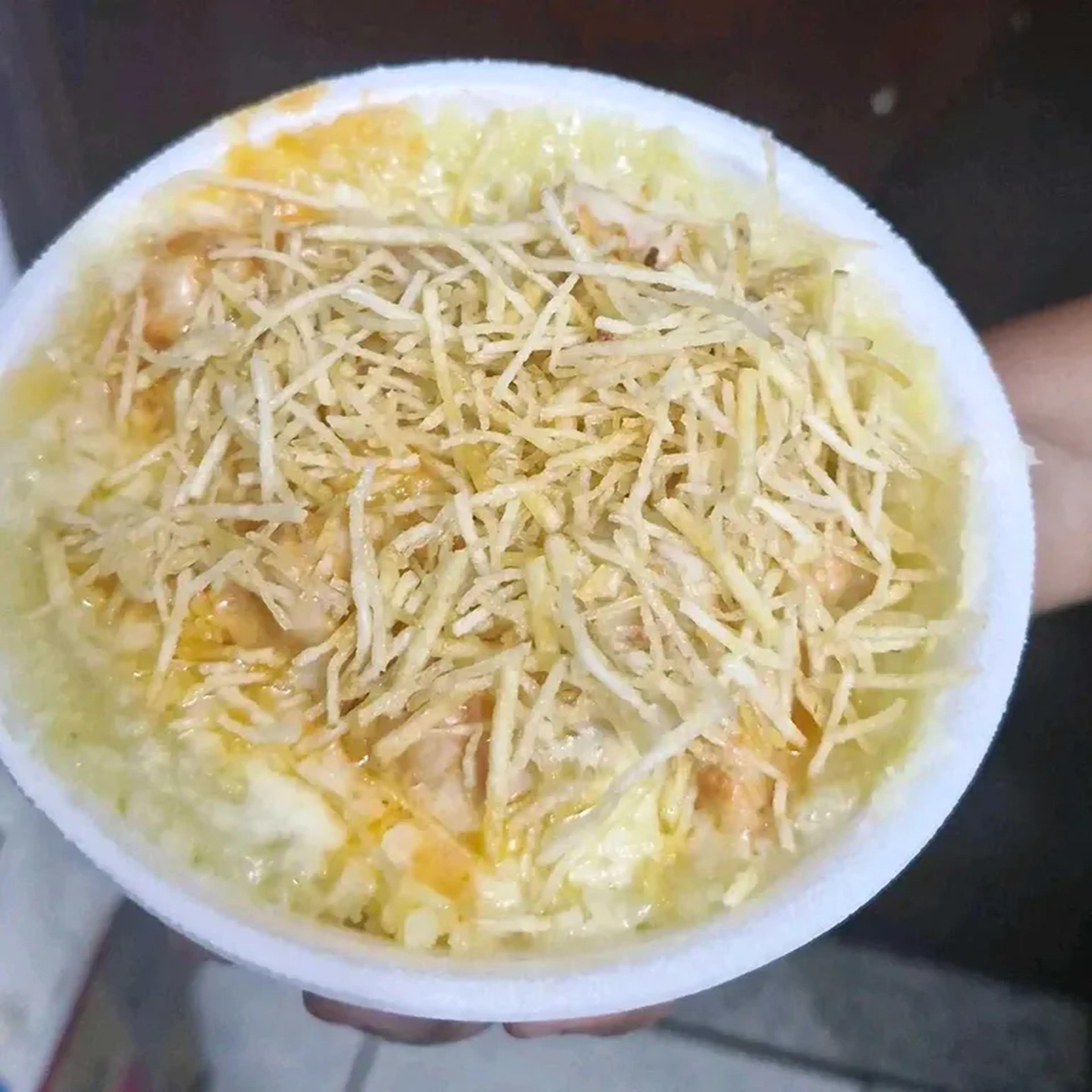 strogonoff de frango imagem