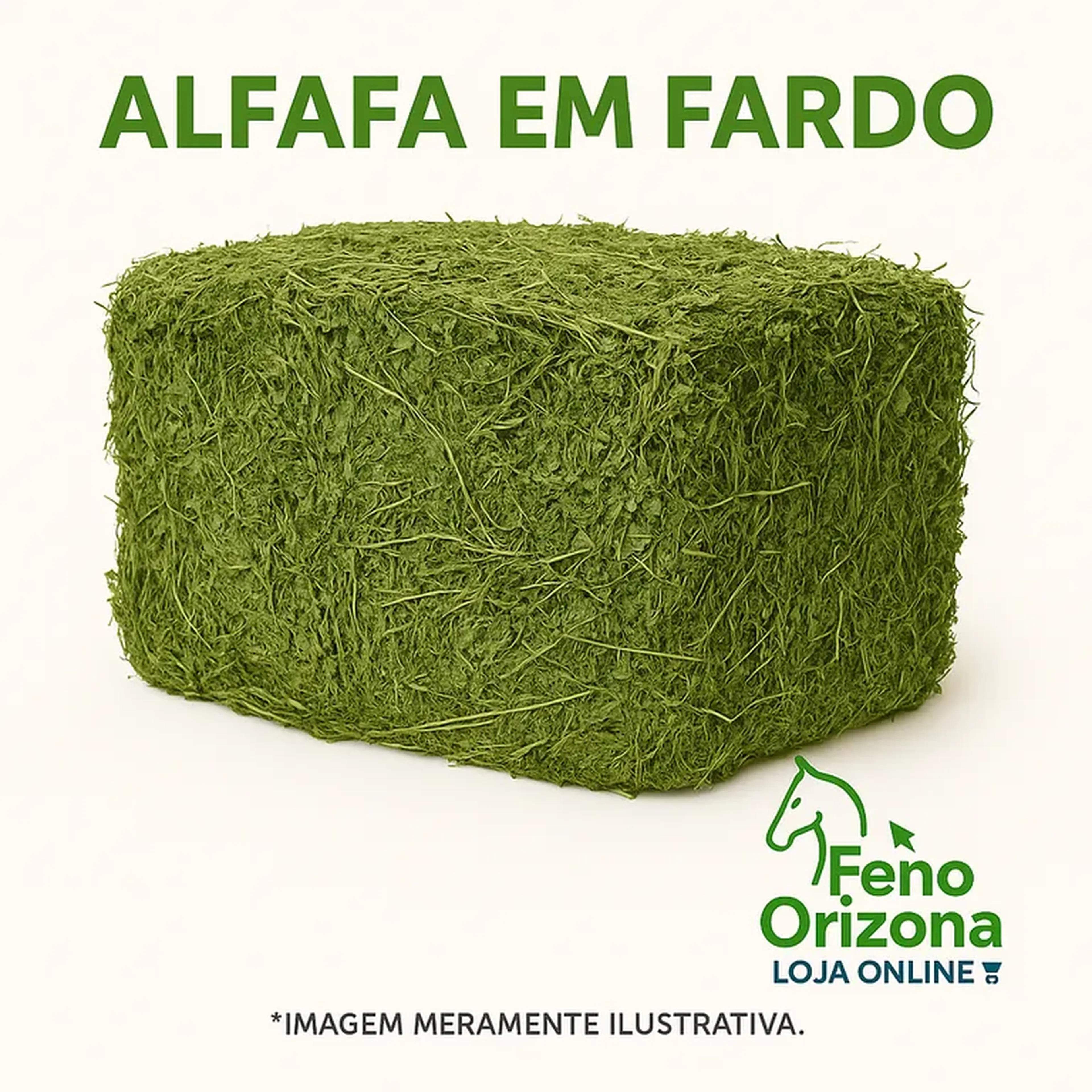 Alfafa em fardo imagem