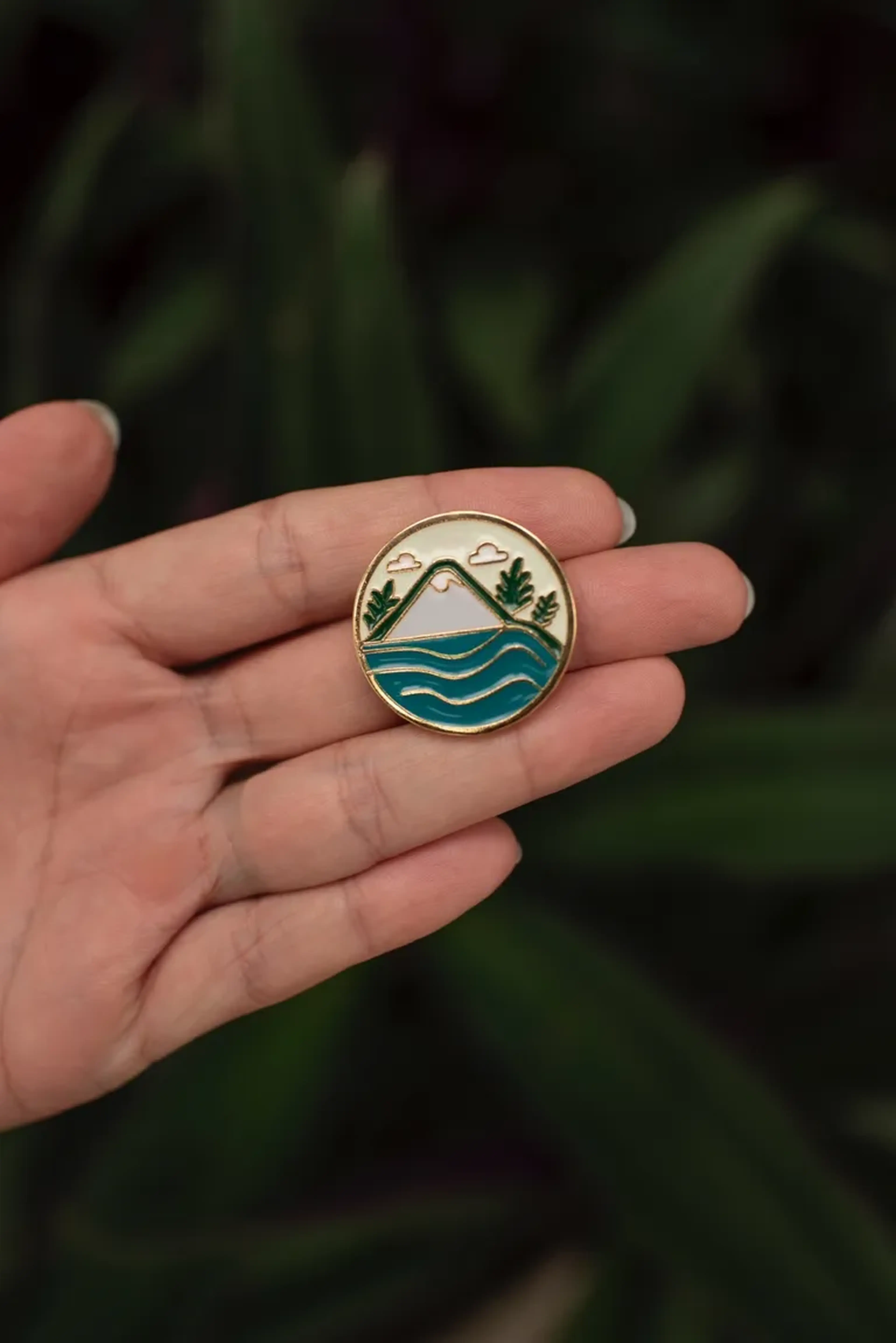 Pin congresso 2025 - monte imagem