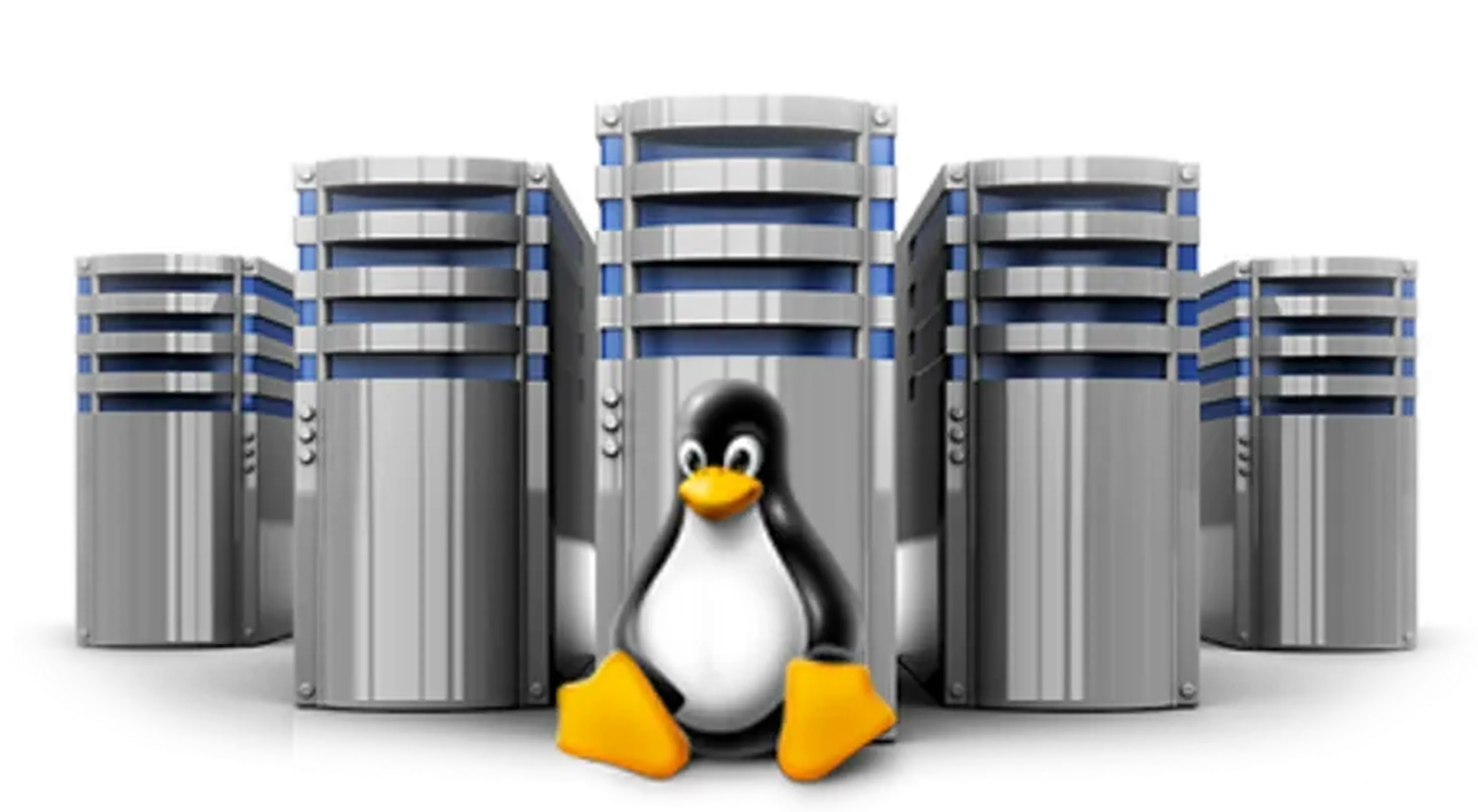 Administração Profissional de Servidores Linux (PARA ALUNOS) imagem