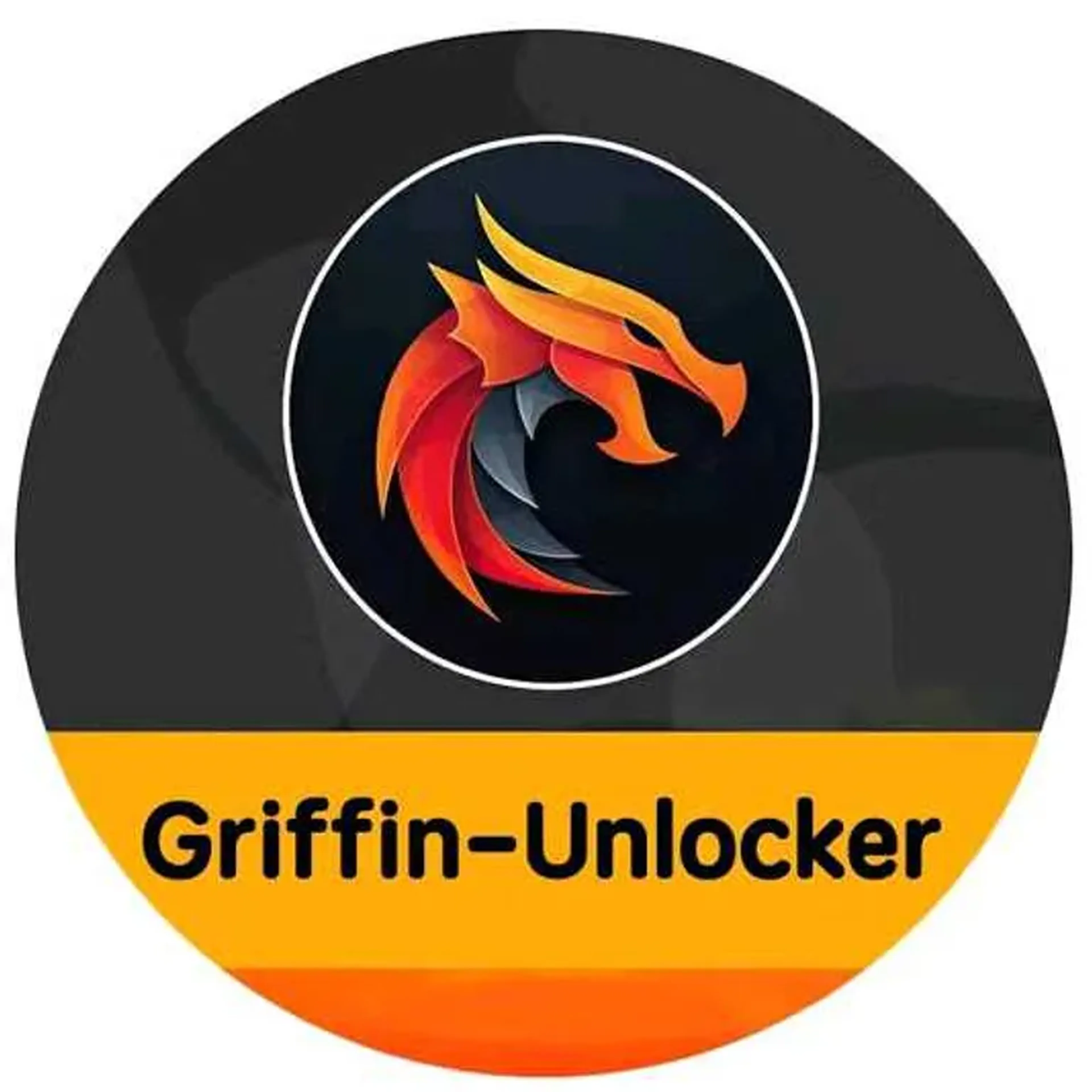 6HRS DE GRIFFIN imagem