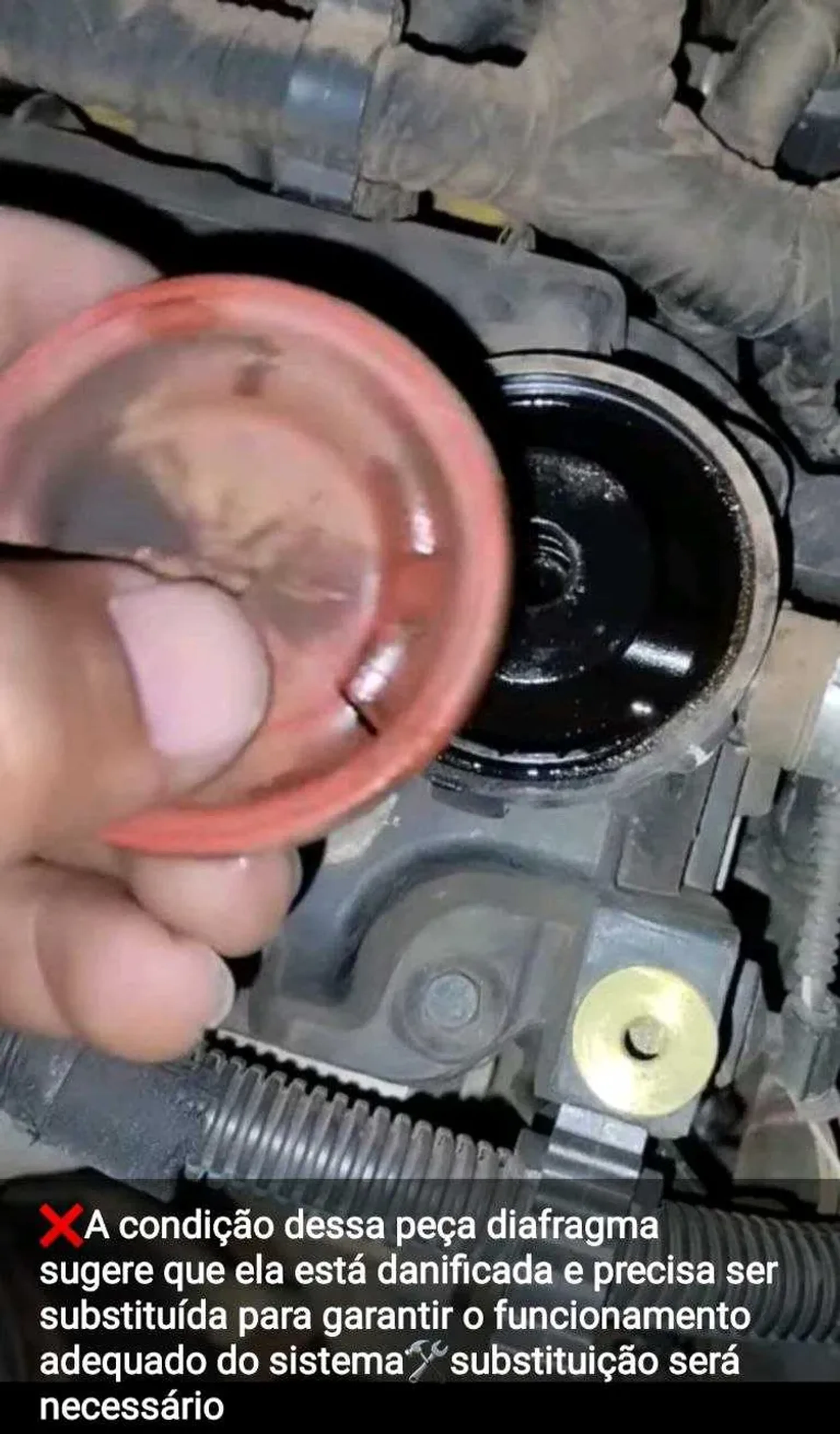 serviços de troca Diagrama linha fiat imagem