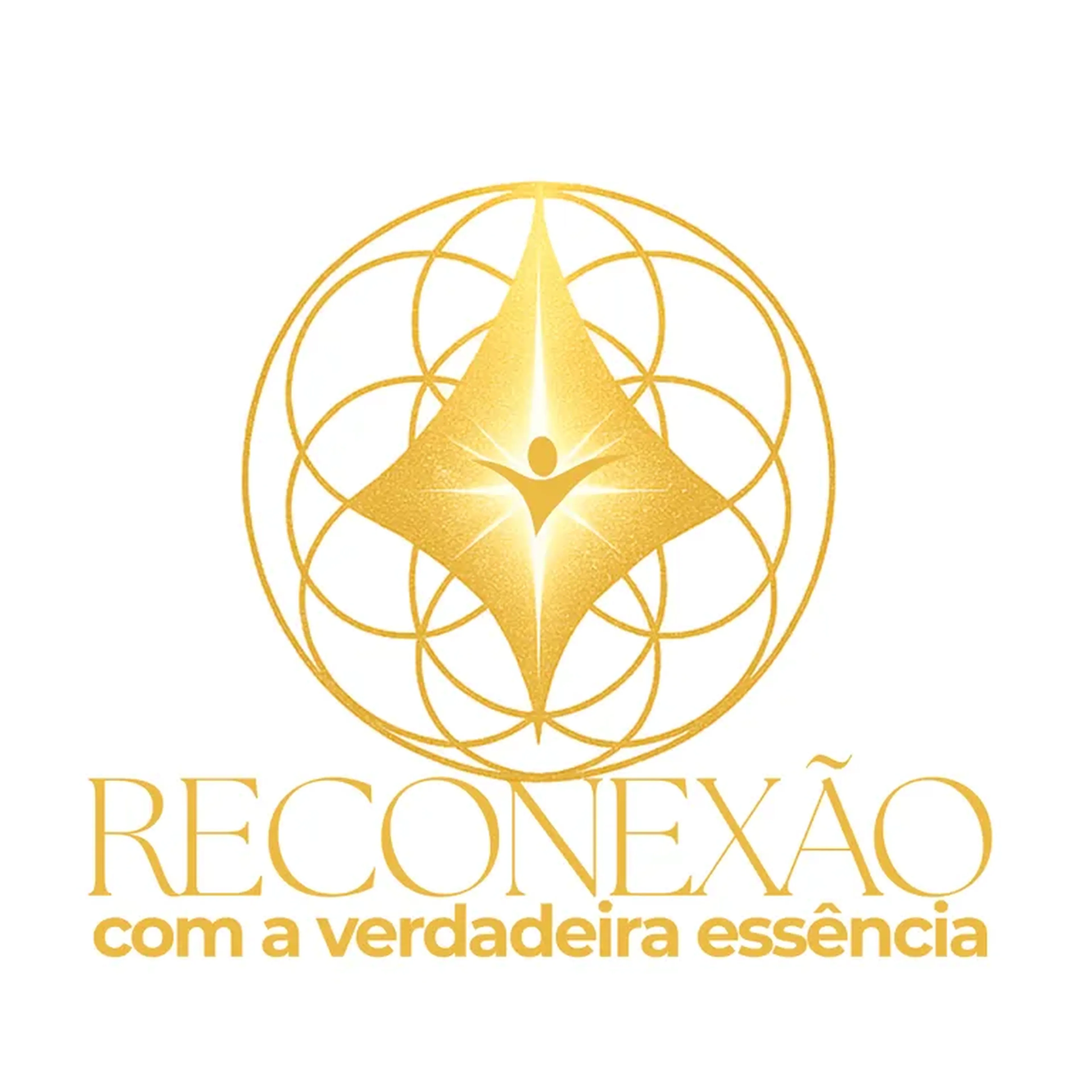 Protocolo de Reconexão imagem