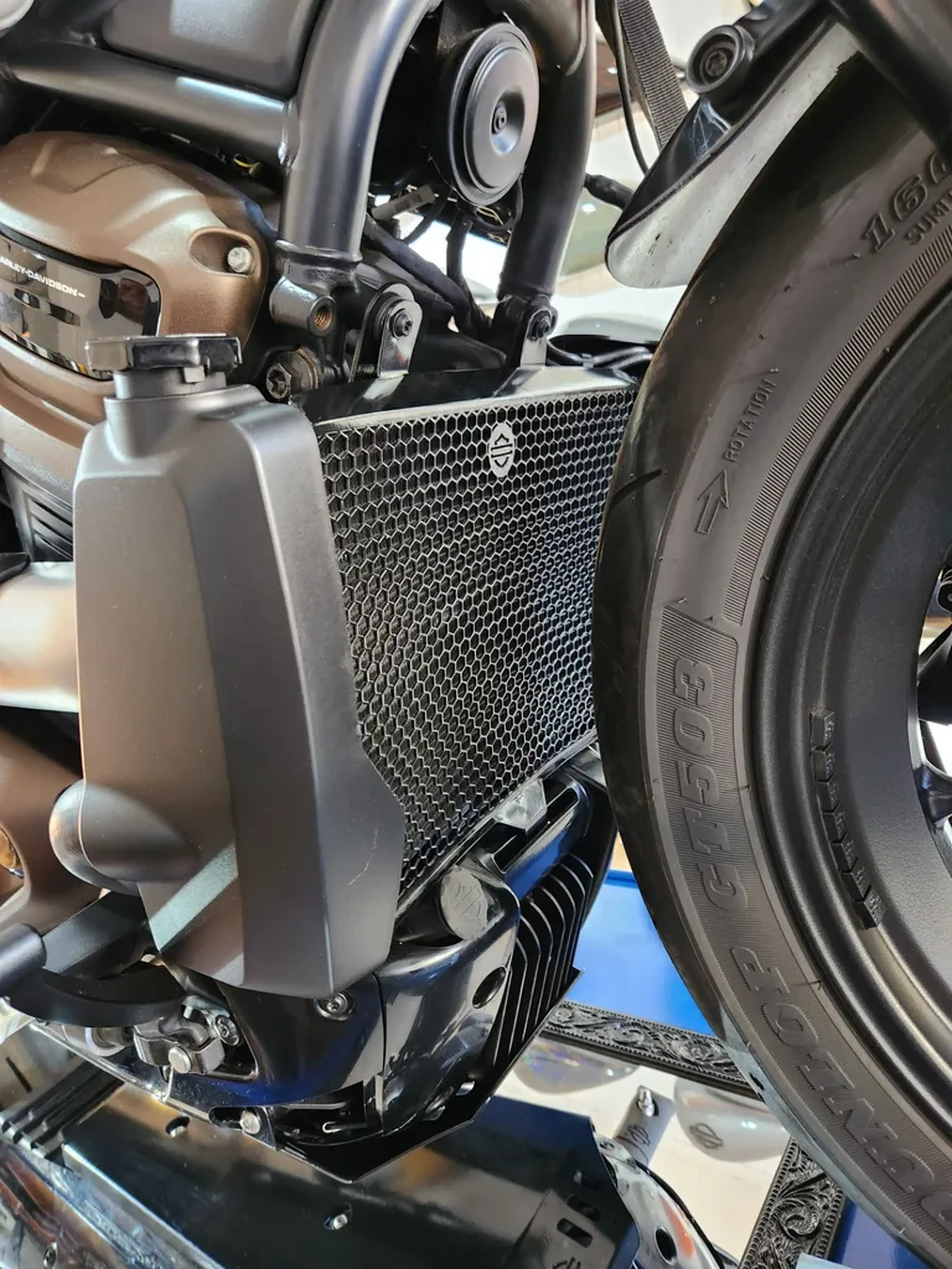 Protetor de Radiador Sportster S 2023 até 2026 Novo Modelo imagem