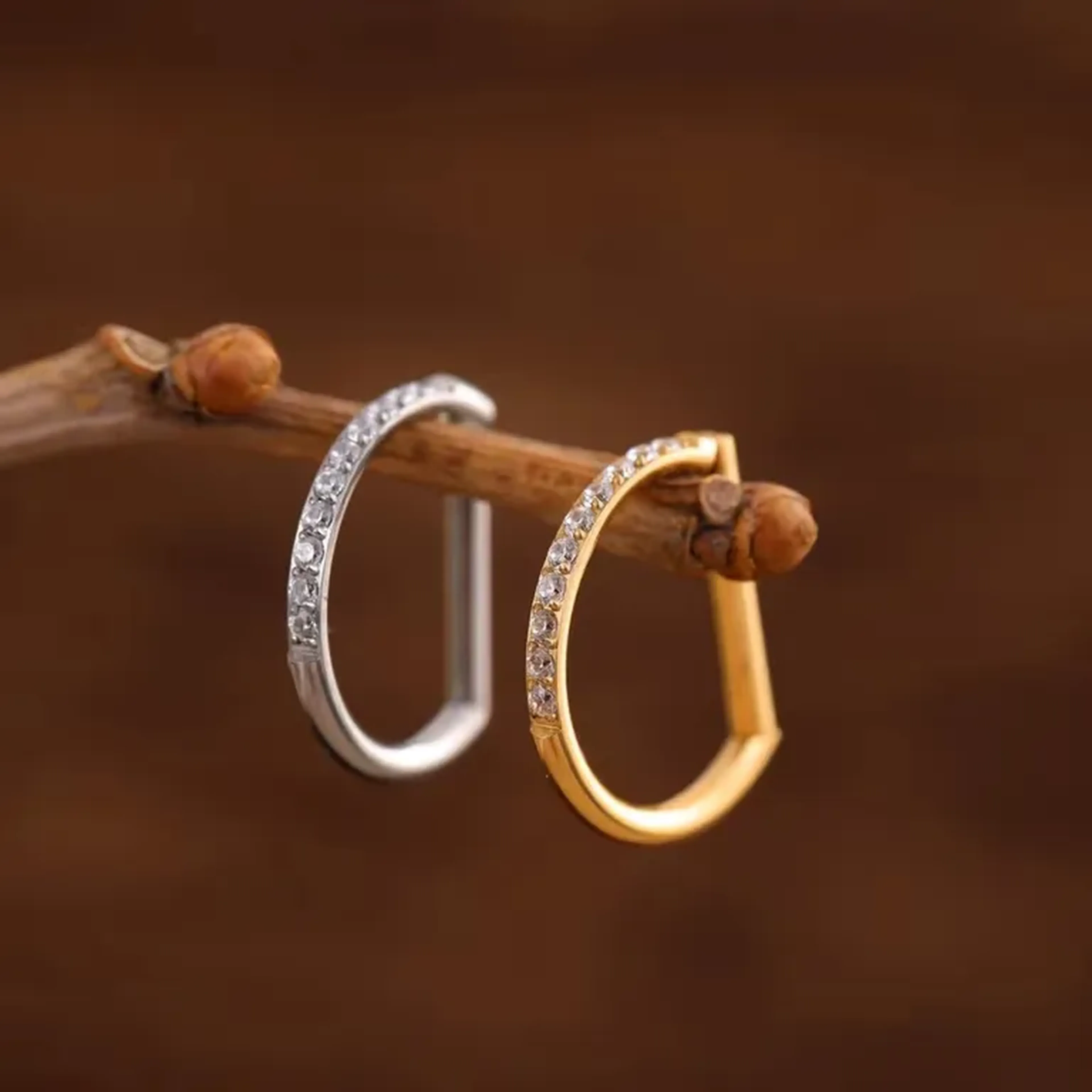 Argola D ring imagem