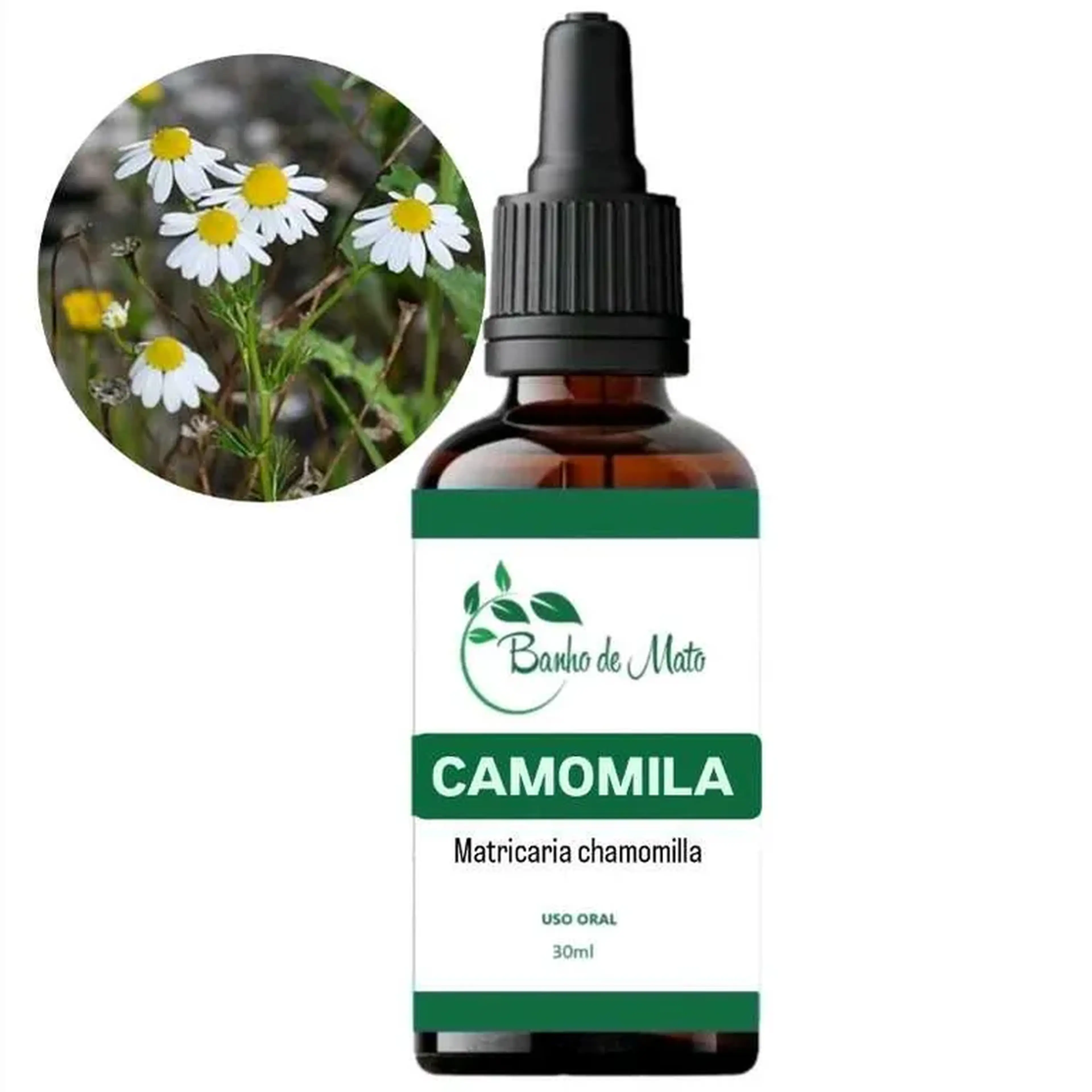 Extrato - CAMOMILA (Matricaria chamomilla) imagem