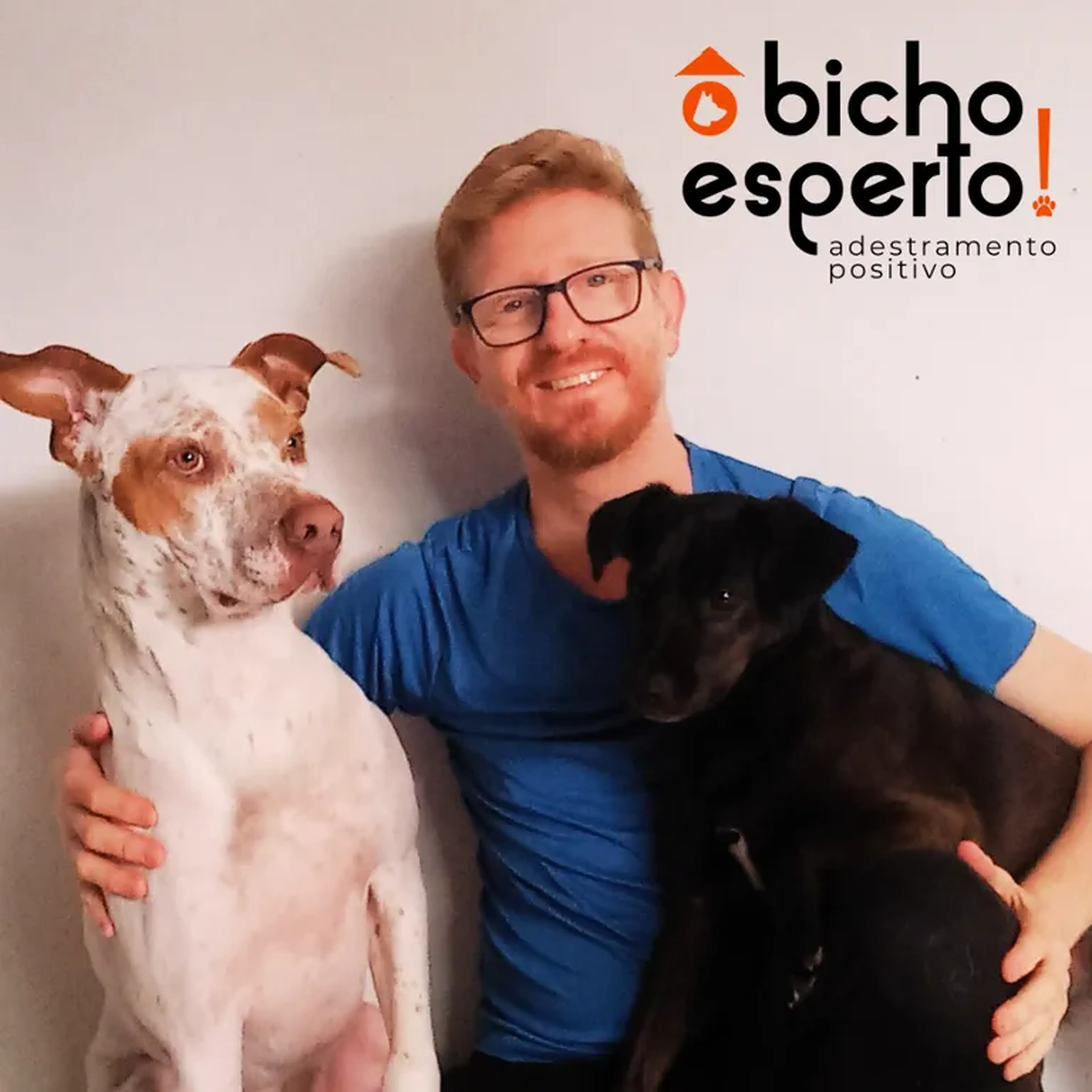 Pacote de 4 aulas (presencial ou online) imagem