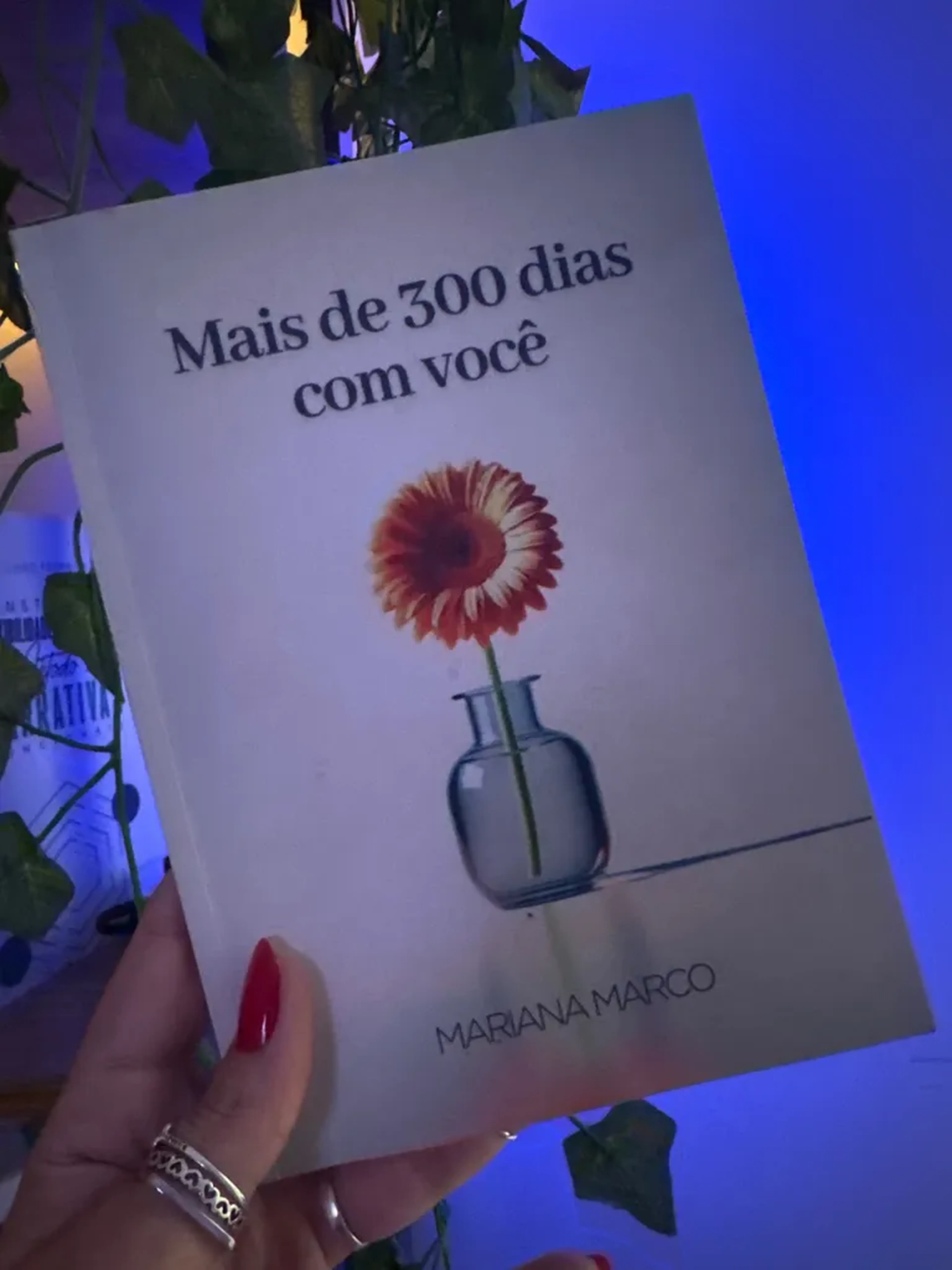 Livro Mais de 300 dias com você imagem