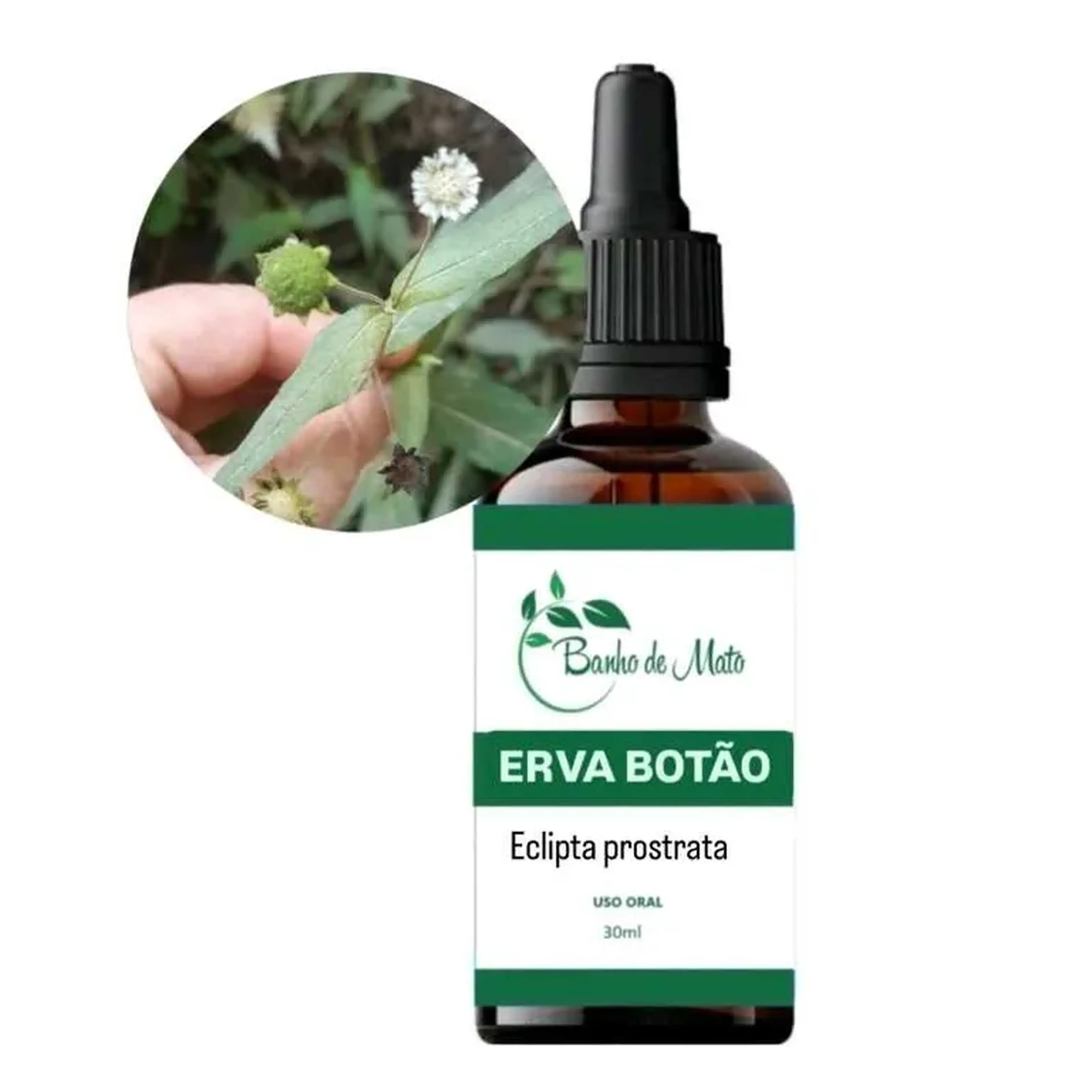Extrato - ERVA BOTÃO (Eclipta prostrata) imagem