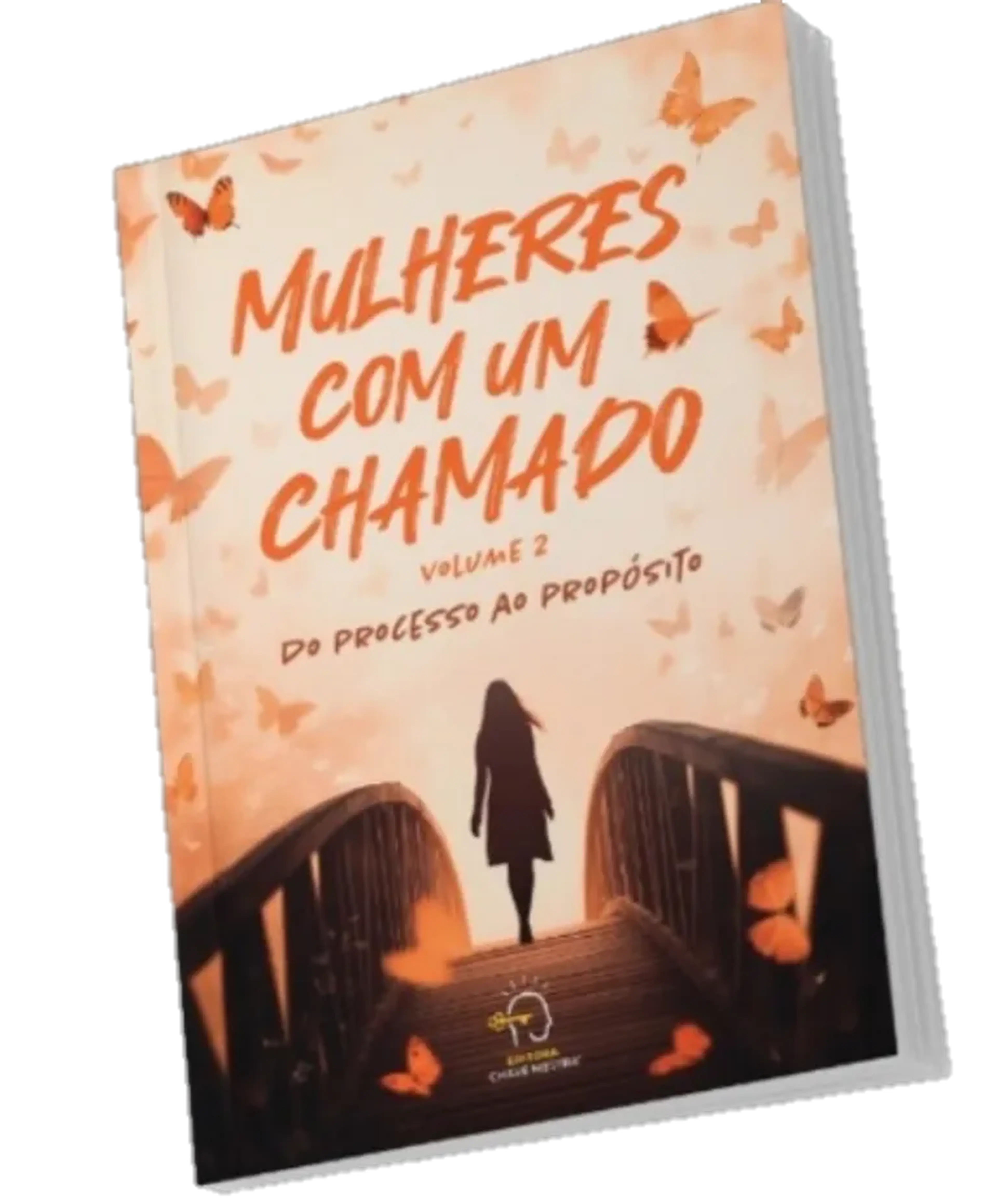 Mulheres com um chamado vol II imagem