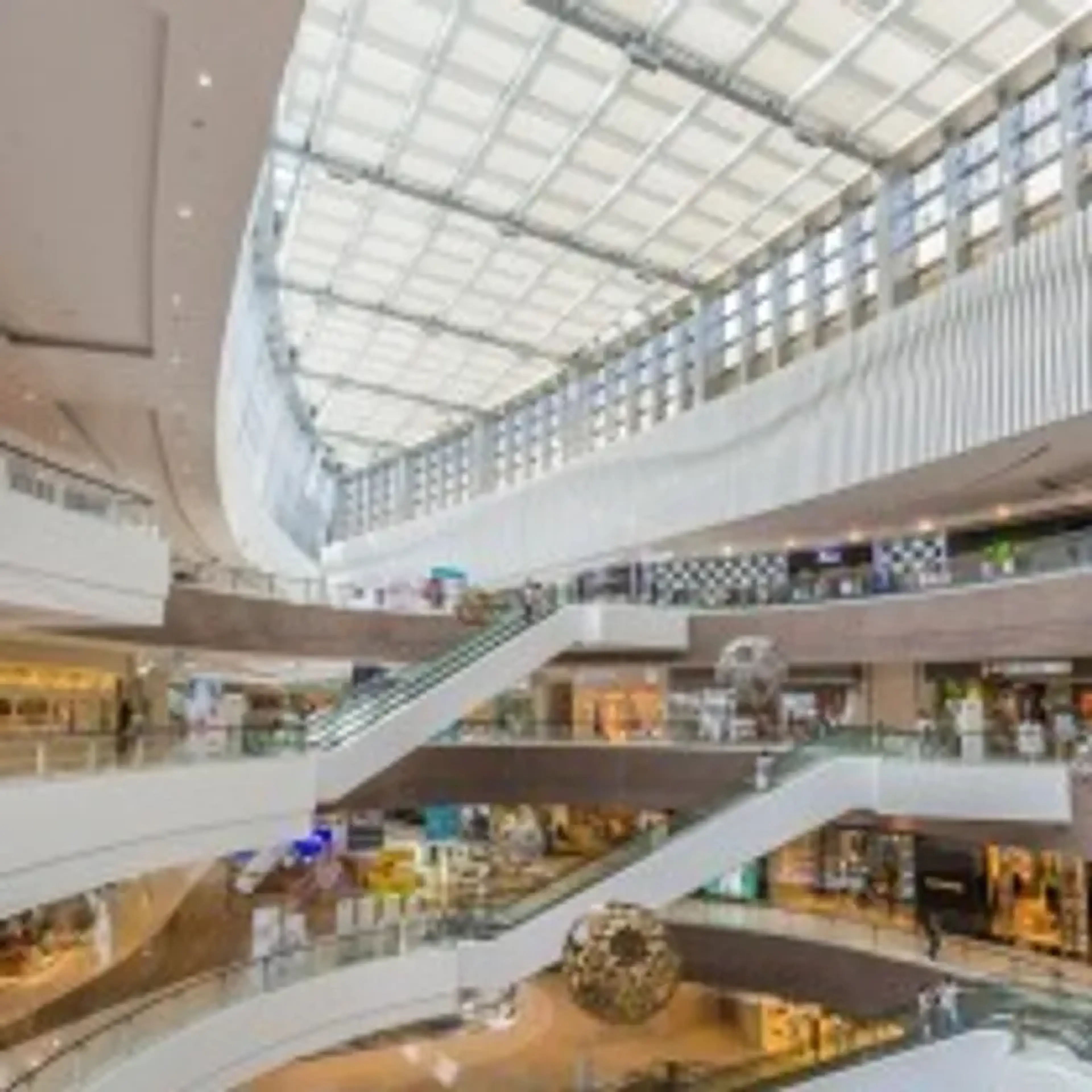 Contribuição para um dia de compras imagem