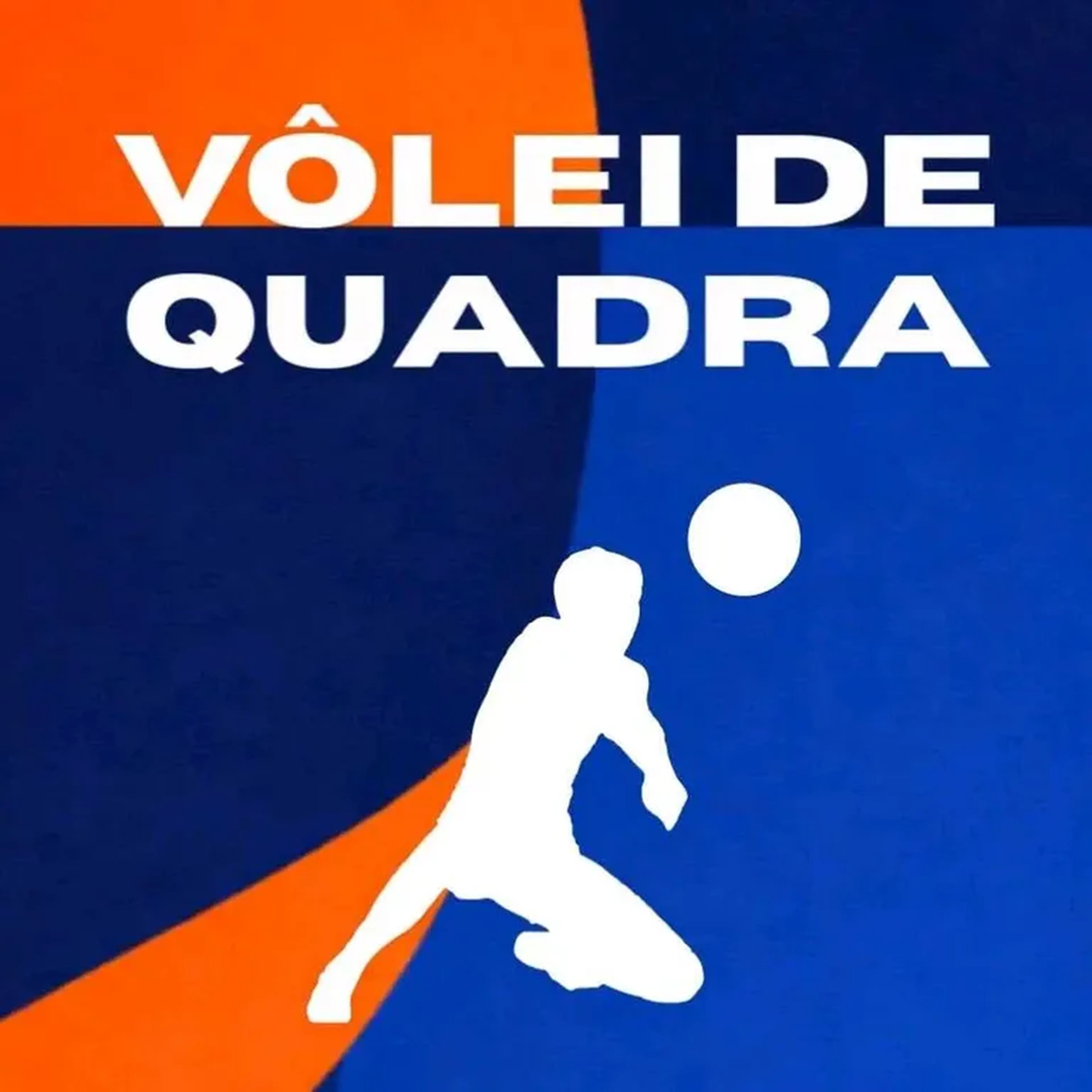 Vôlei de Quadra imagem