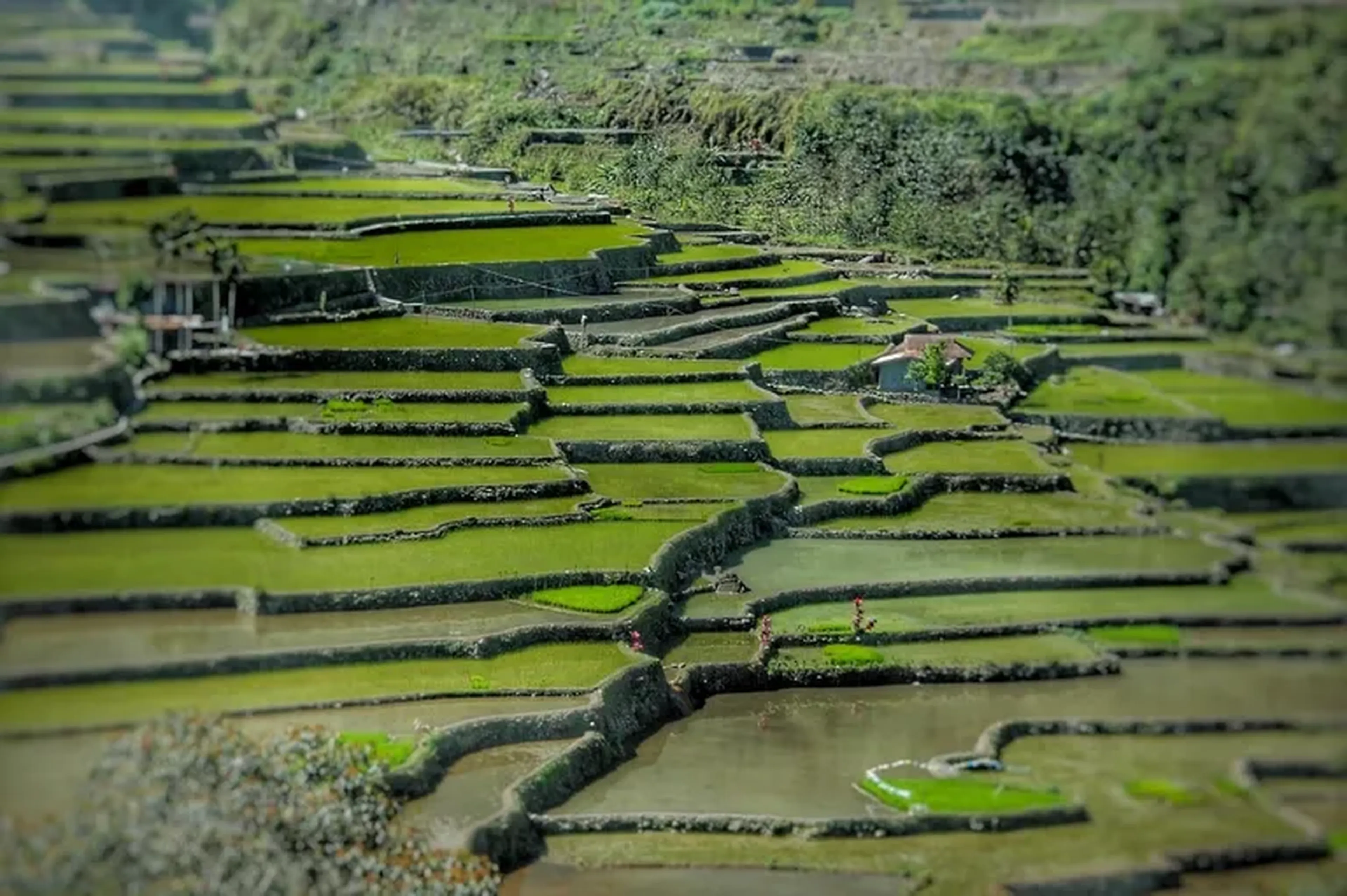 GRADUAÇÃO ACELERADA TECNOLÓGO EM GESTÃO AMBIENTAL imagem