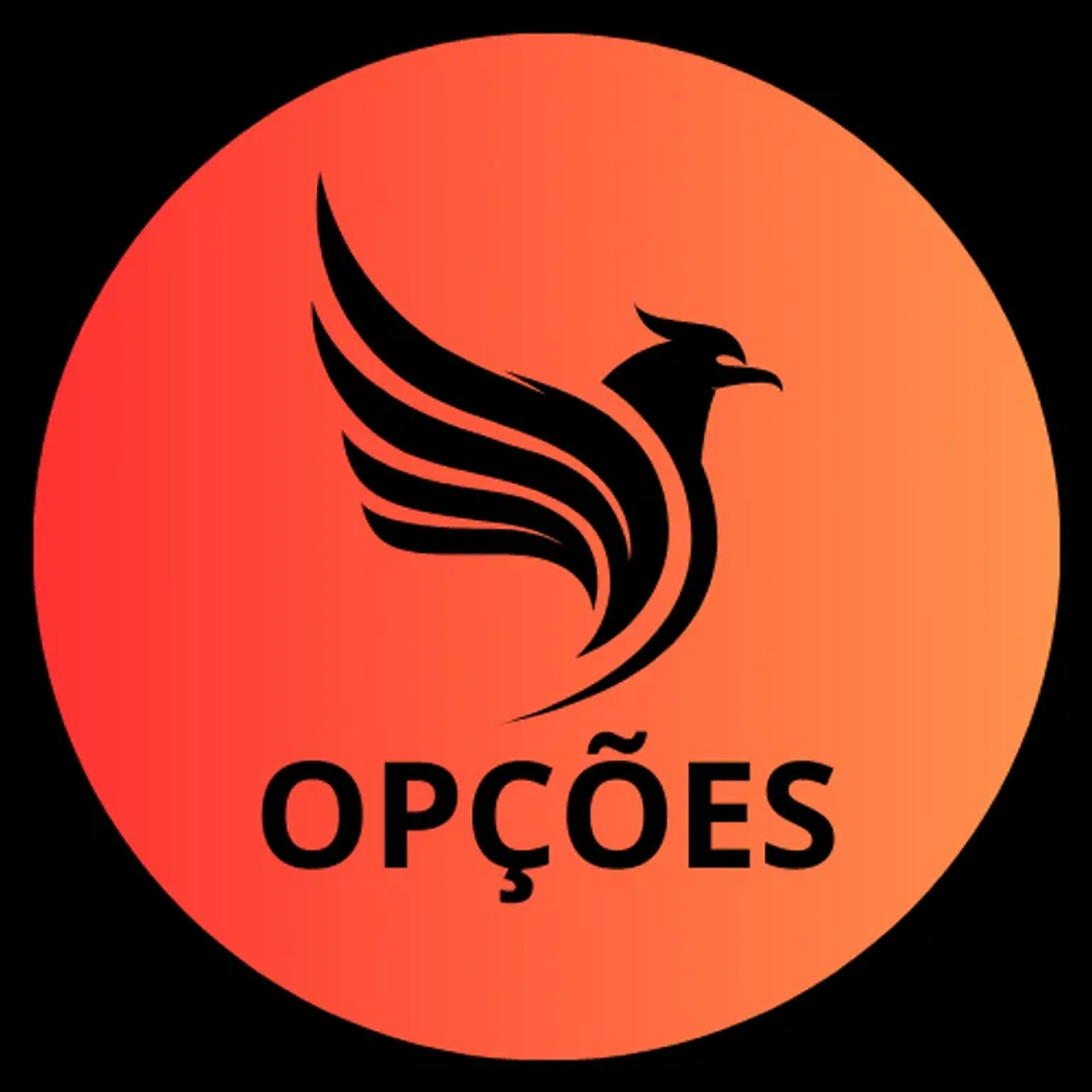 Carteira de Opções - Derivativos de Ações imagem