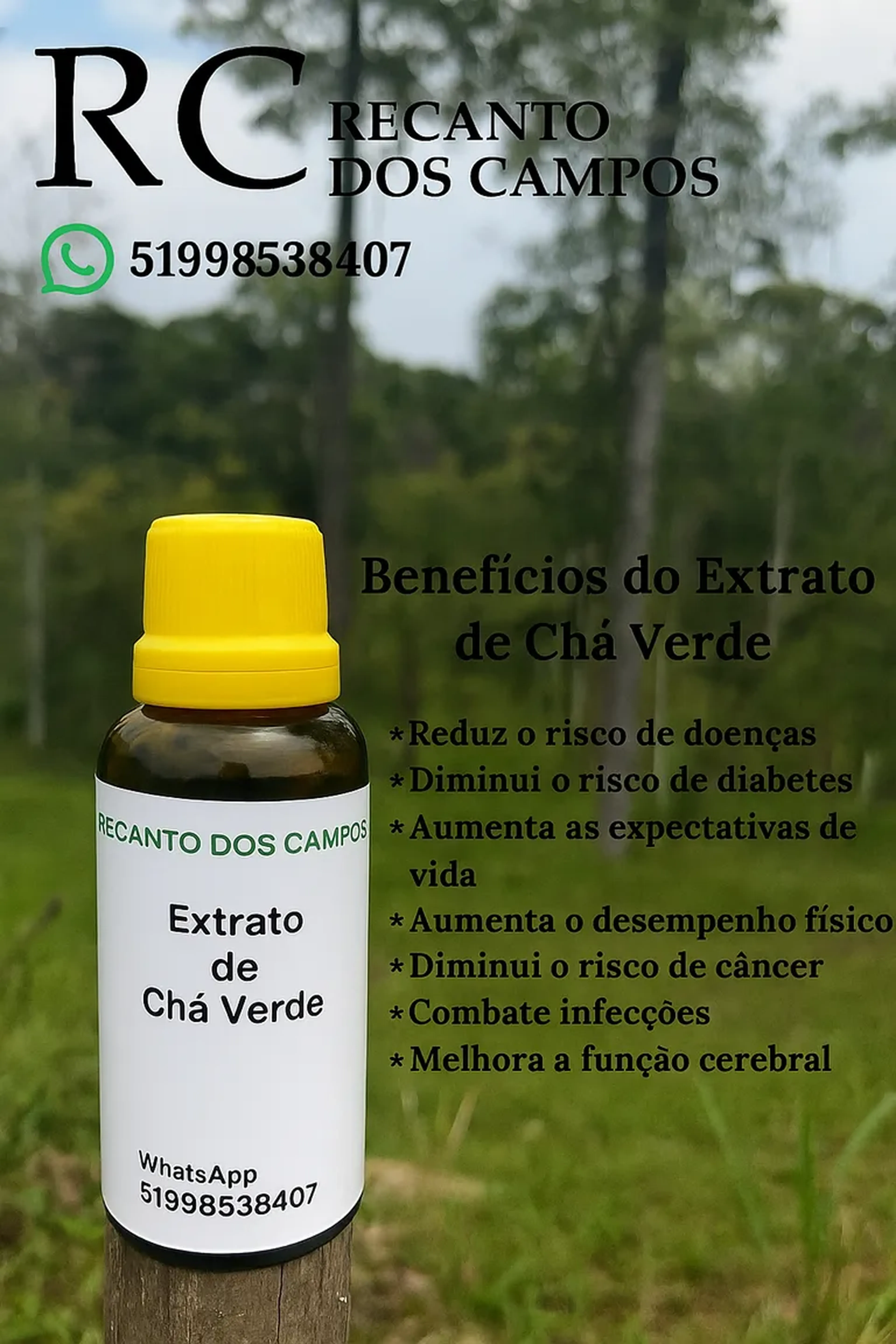 Extrato de Chá Verde imagem