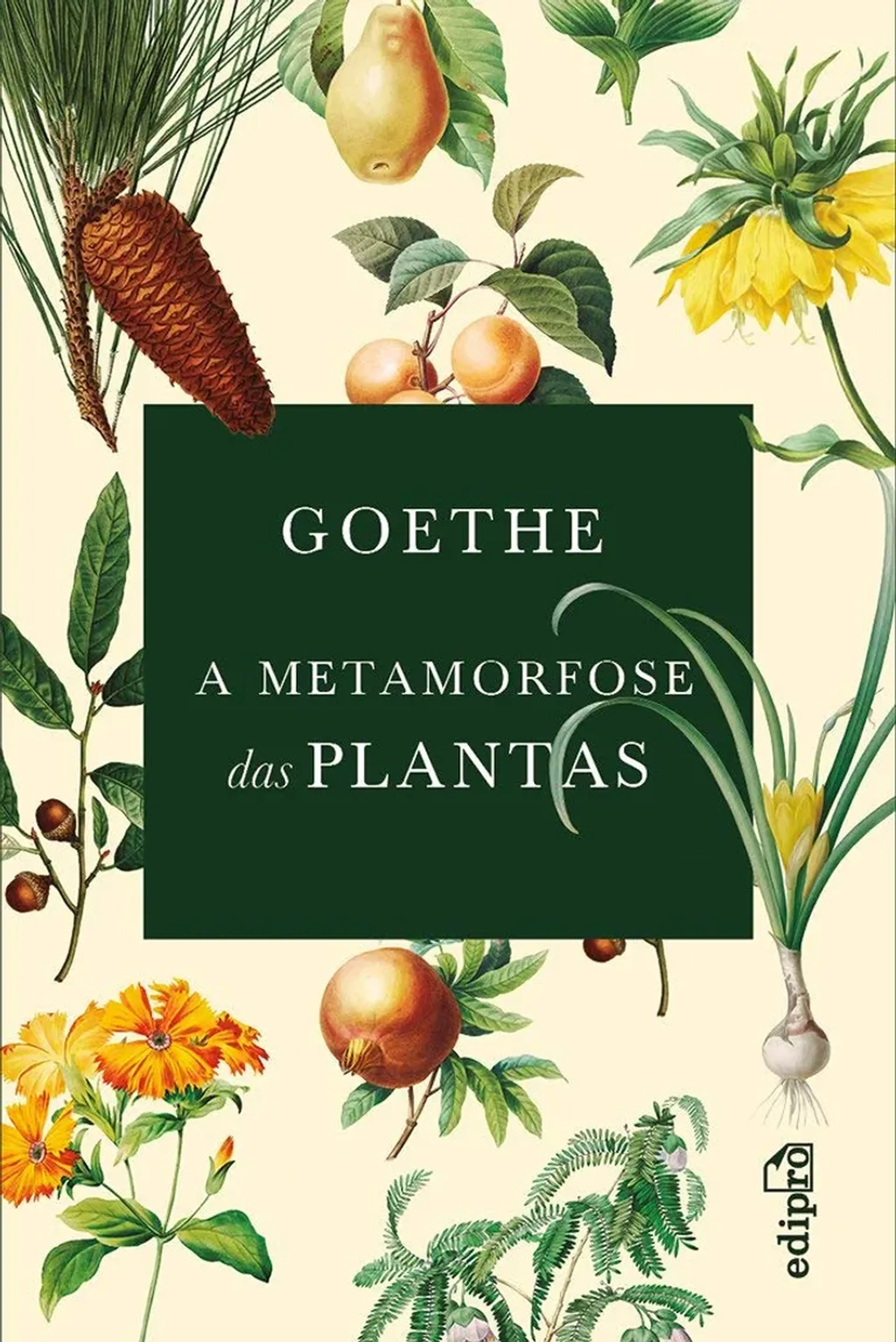 Livro - Goethe - A Metamorfose das Plantas imagem