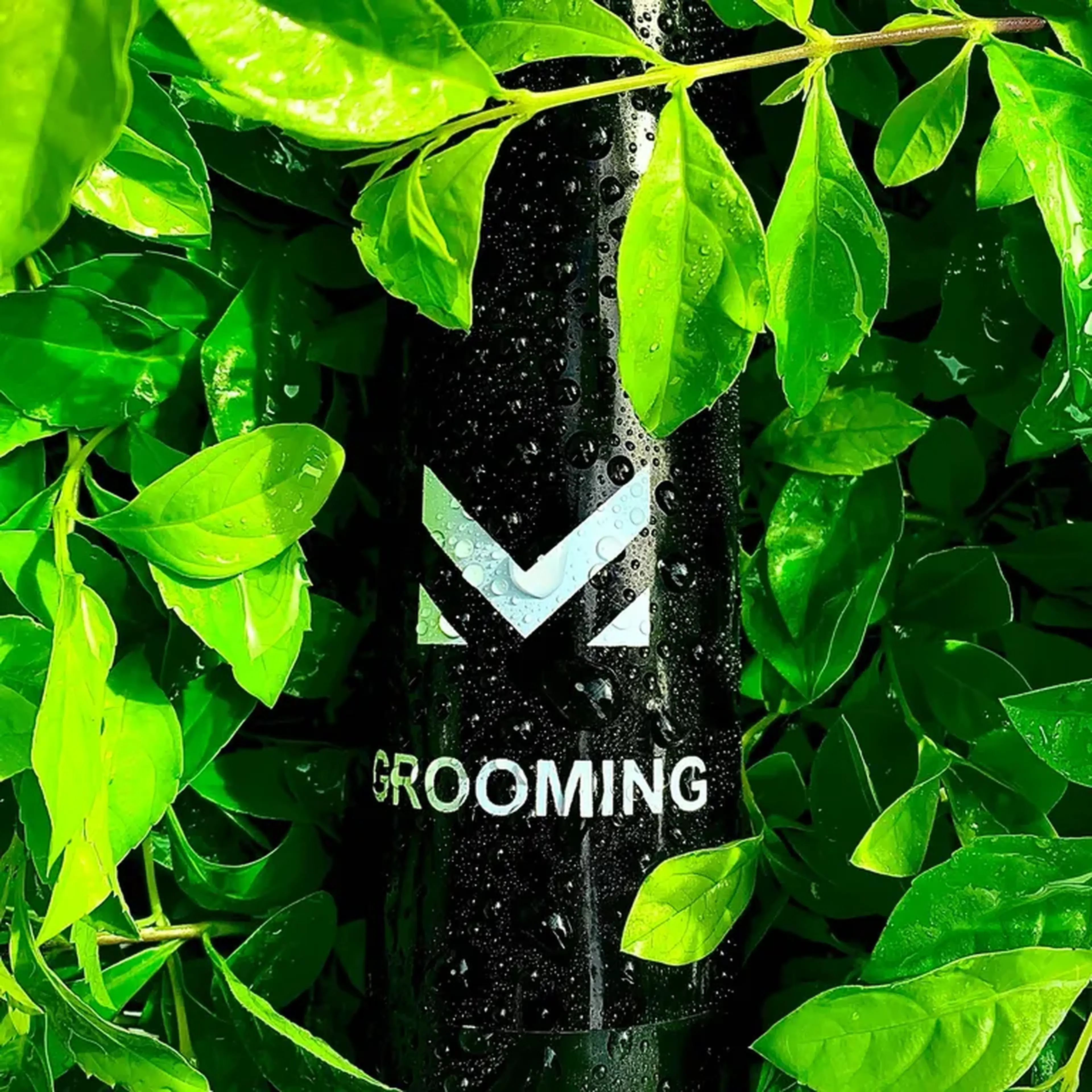 grooming imagem