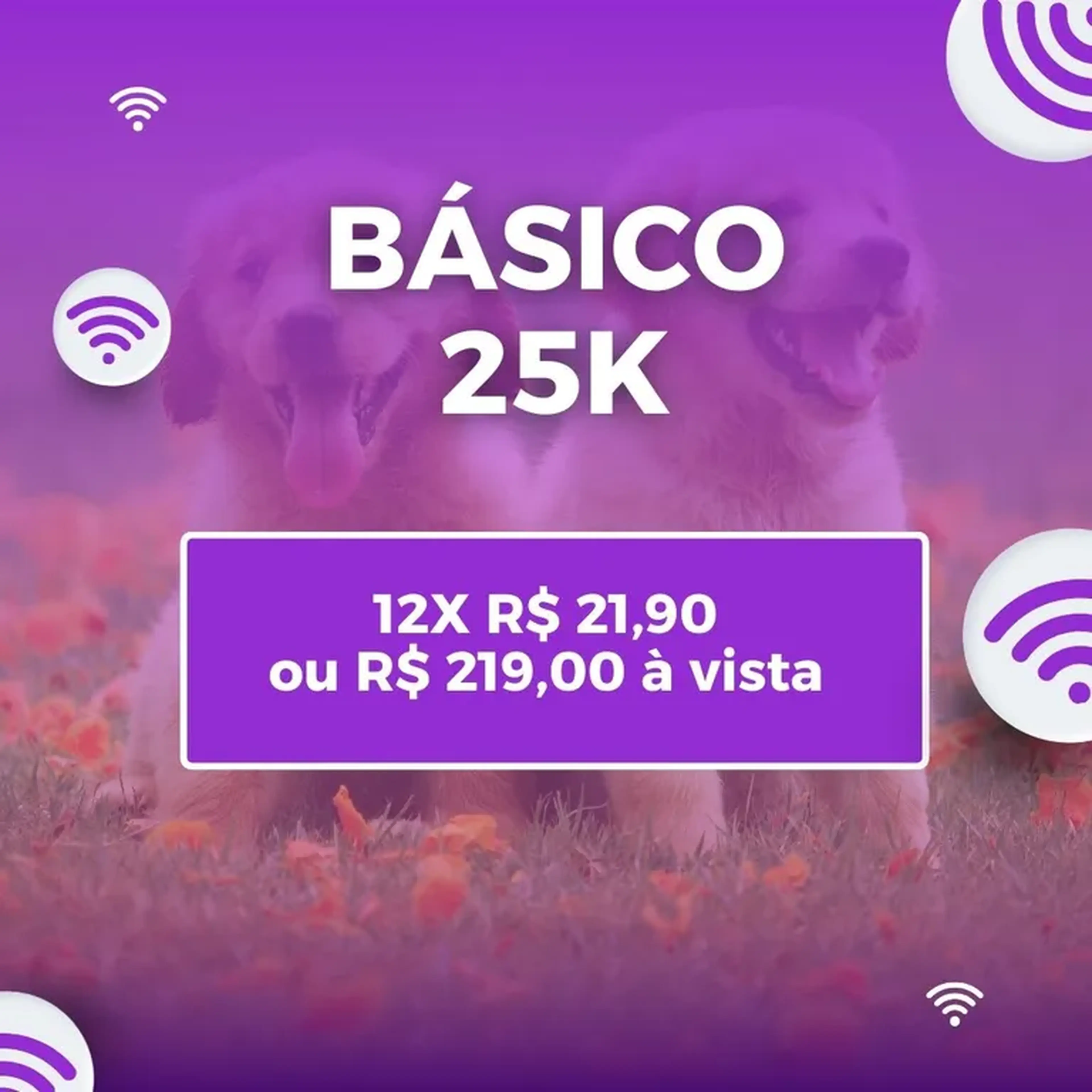 Básico 25k imagem