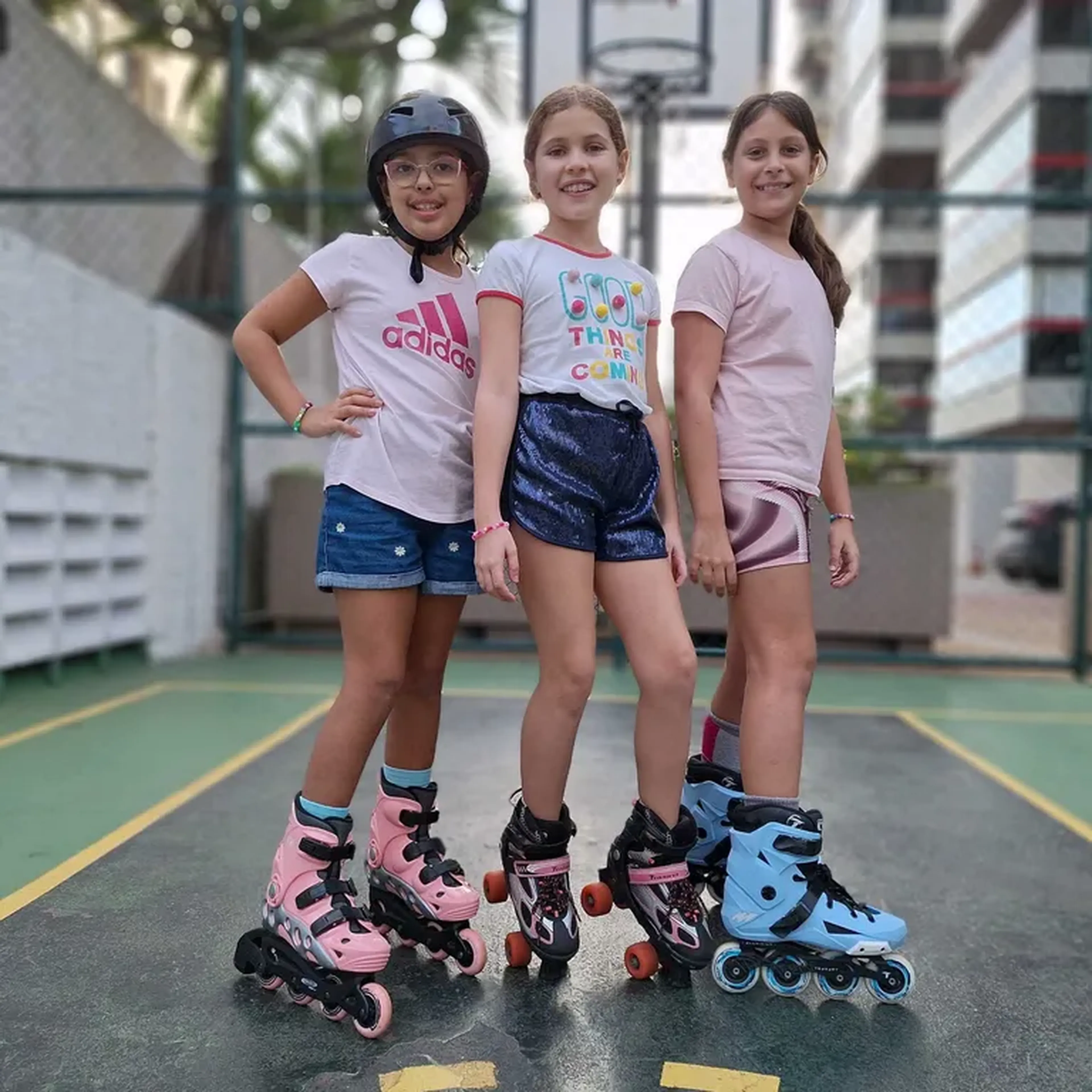 Família VIP 10 - Aulas de Patinação em Grupo c 02 patinadores imagem