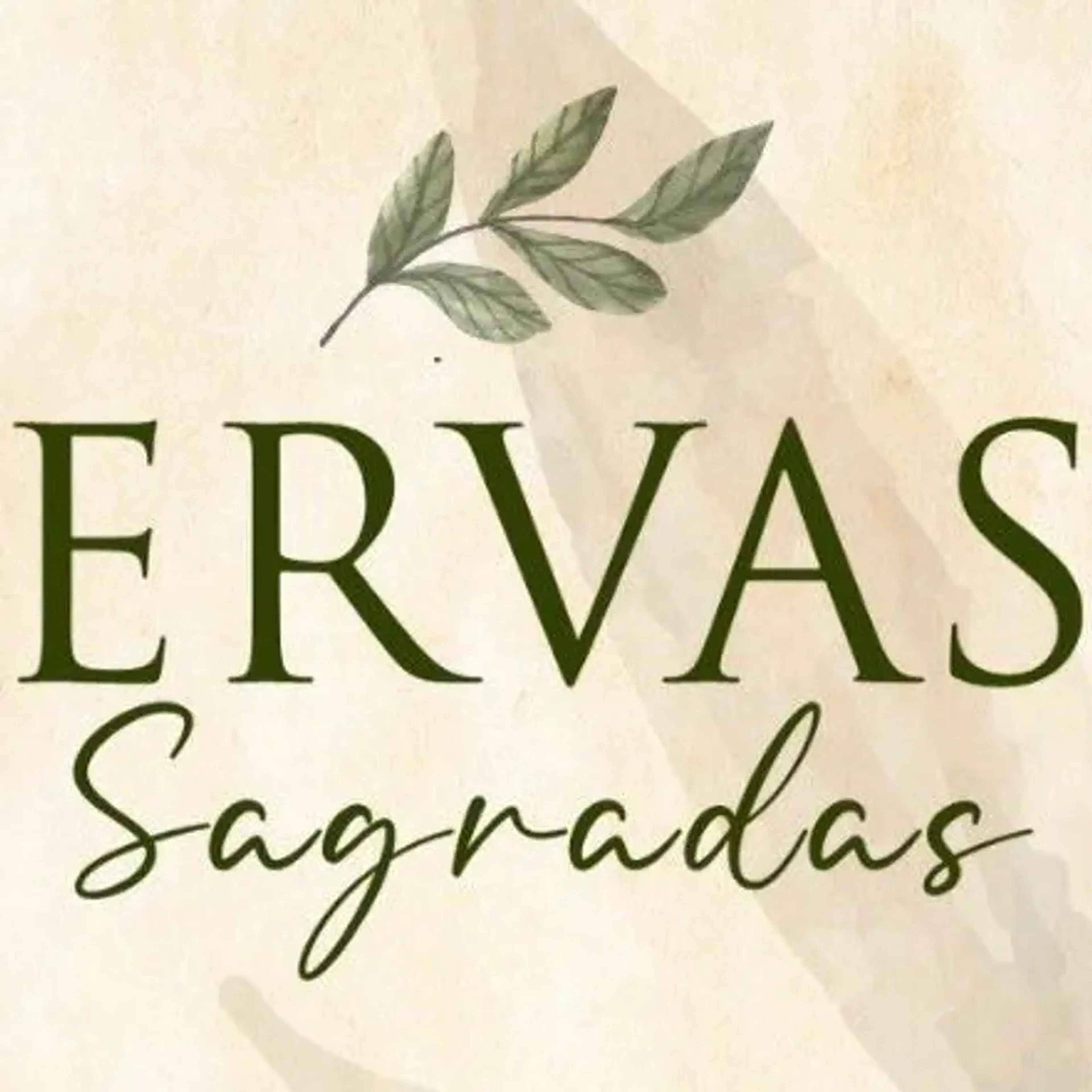 Curso Ervas Sagradas Maio Garopaba SC imagem