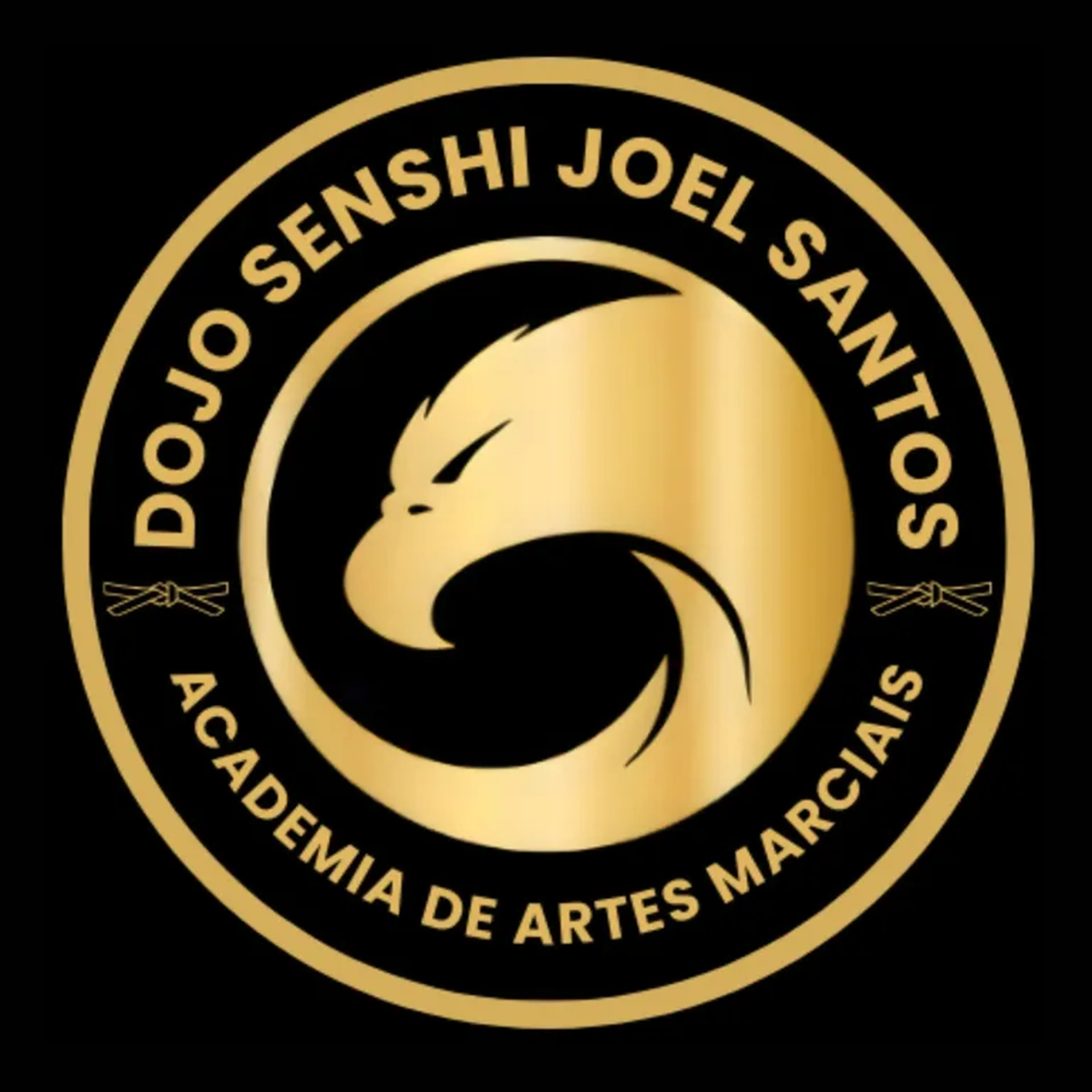 Mensalidade: Jiu-Jitsu imagem