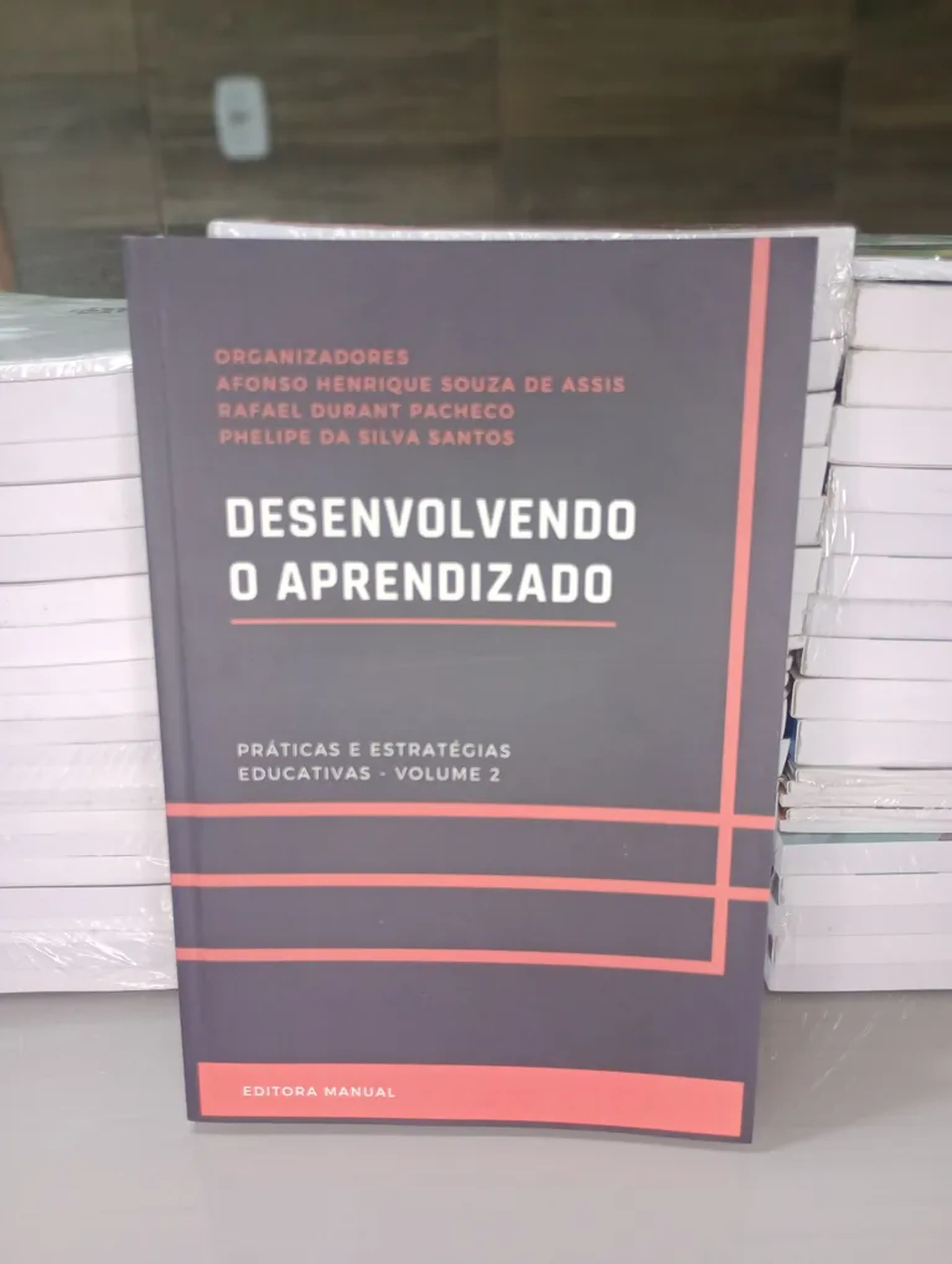 Desenvolvendo o Aprendizado: Práticas e Estratégias Volume 2 imagem