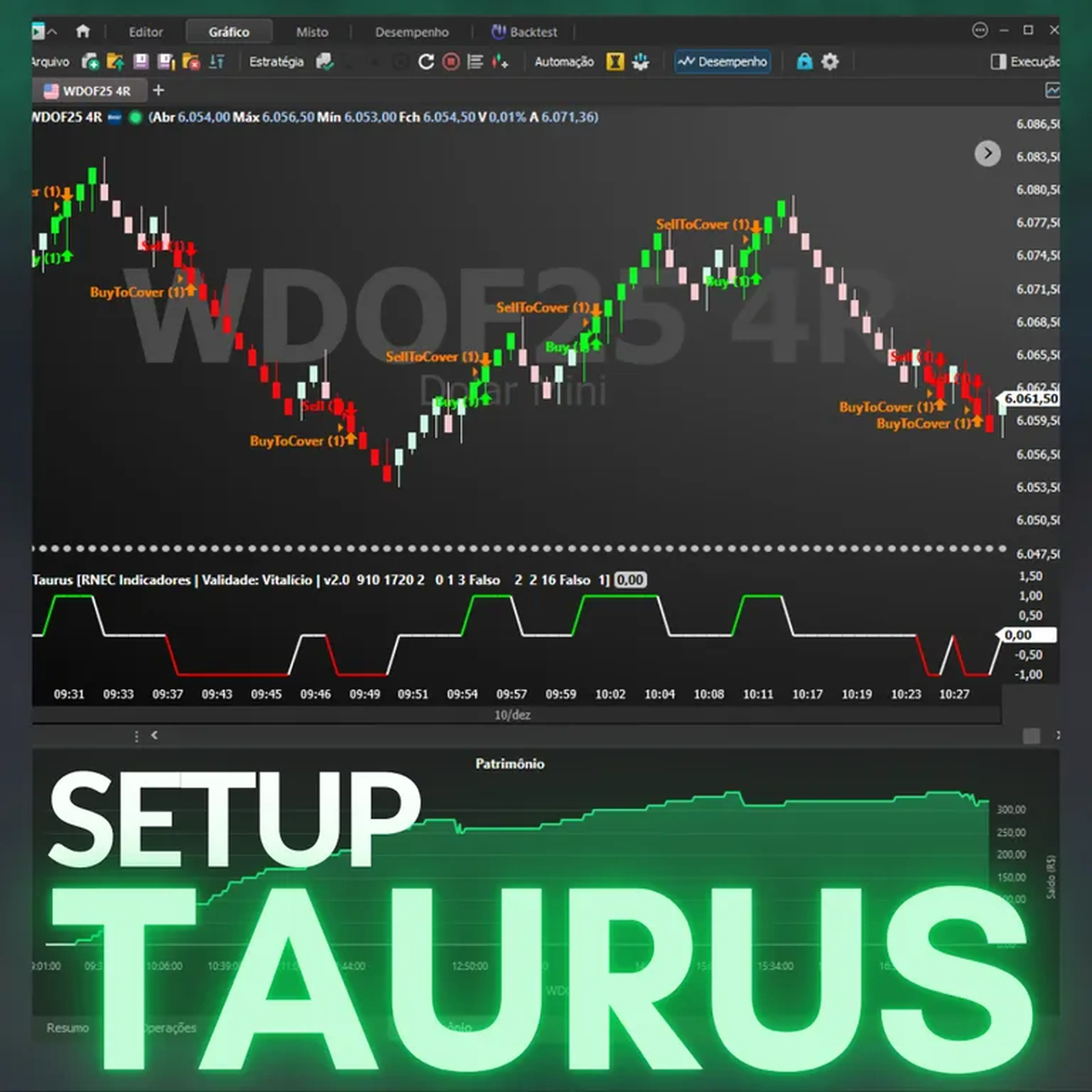 Setup Taurus imagem