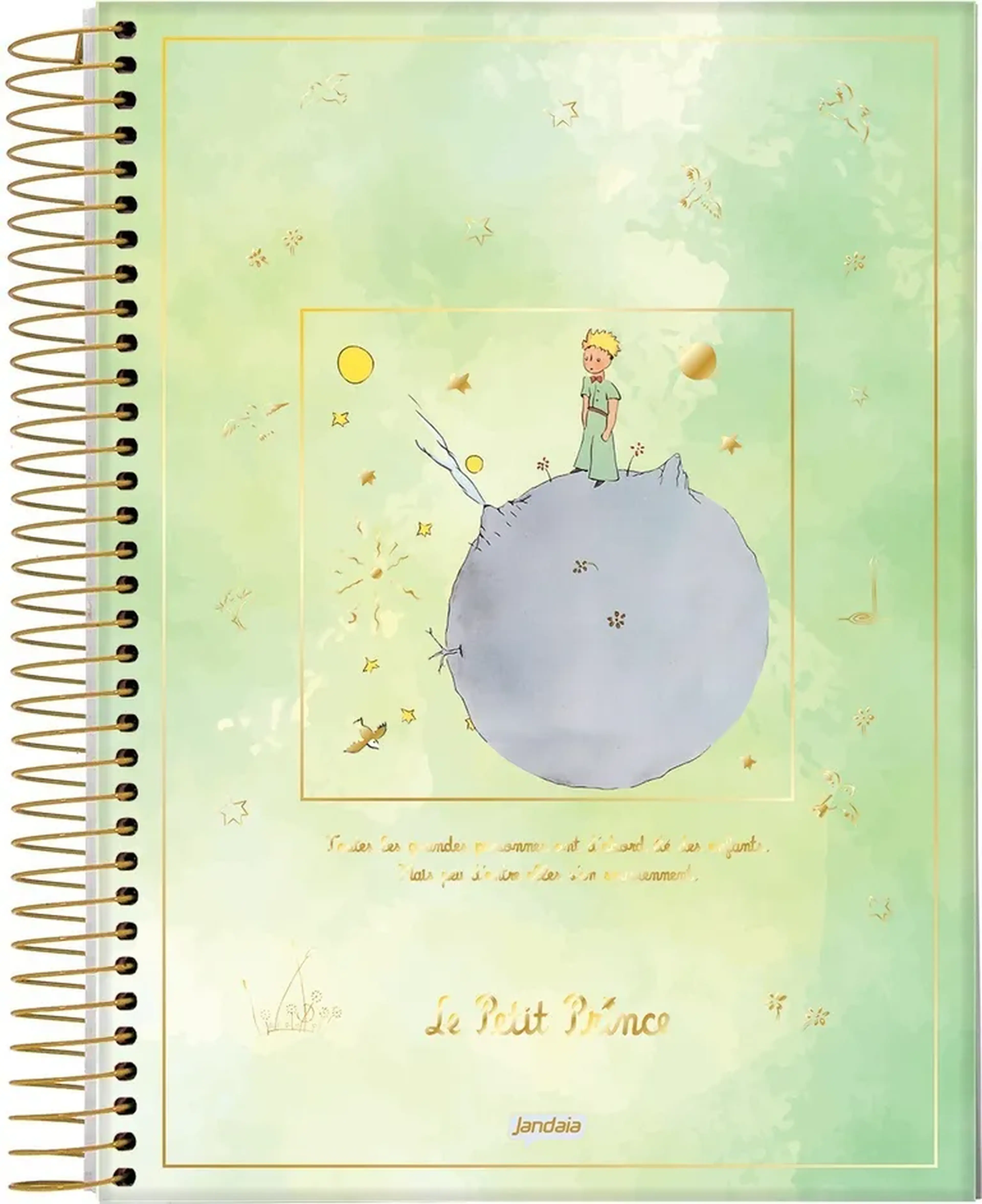 CADERNO ESPIRAL CD 1 MAT PEQUENO PRINCIPE imagem