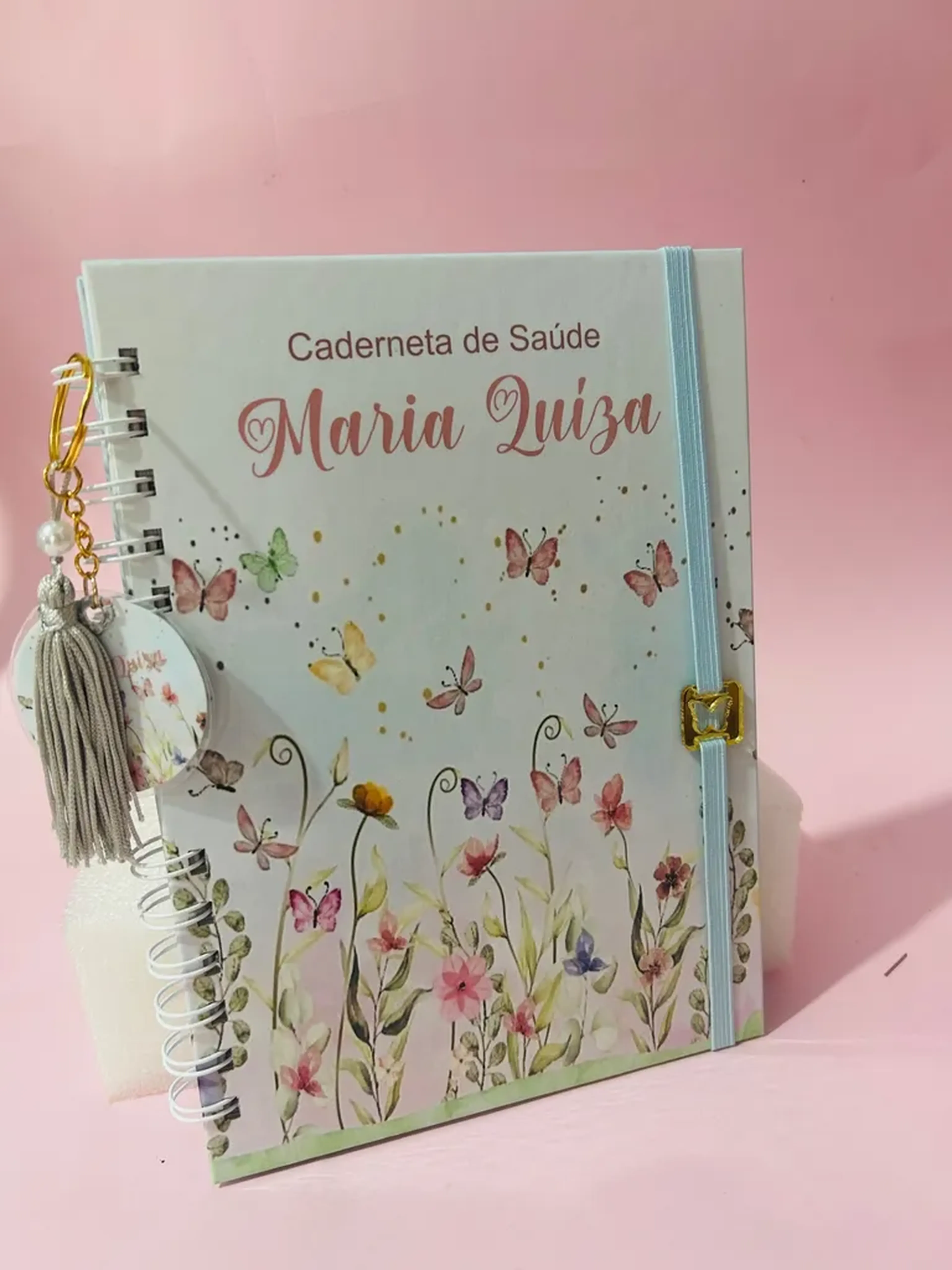 Caderneta de Vacinação imagem