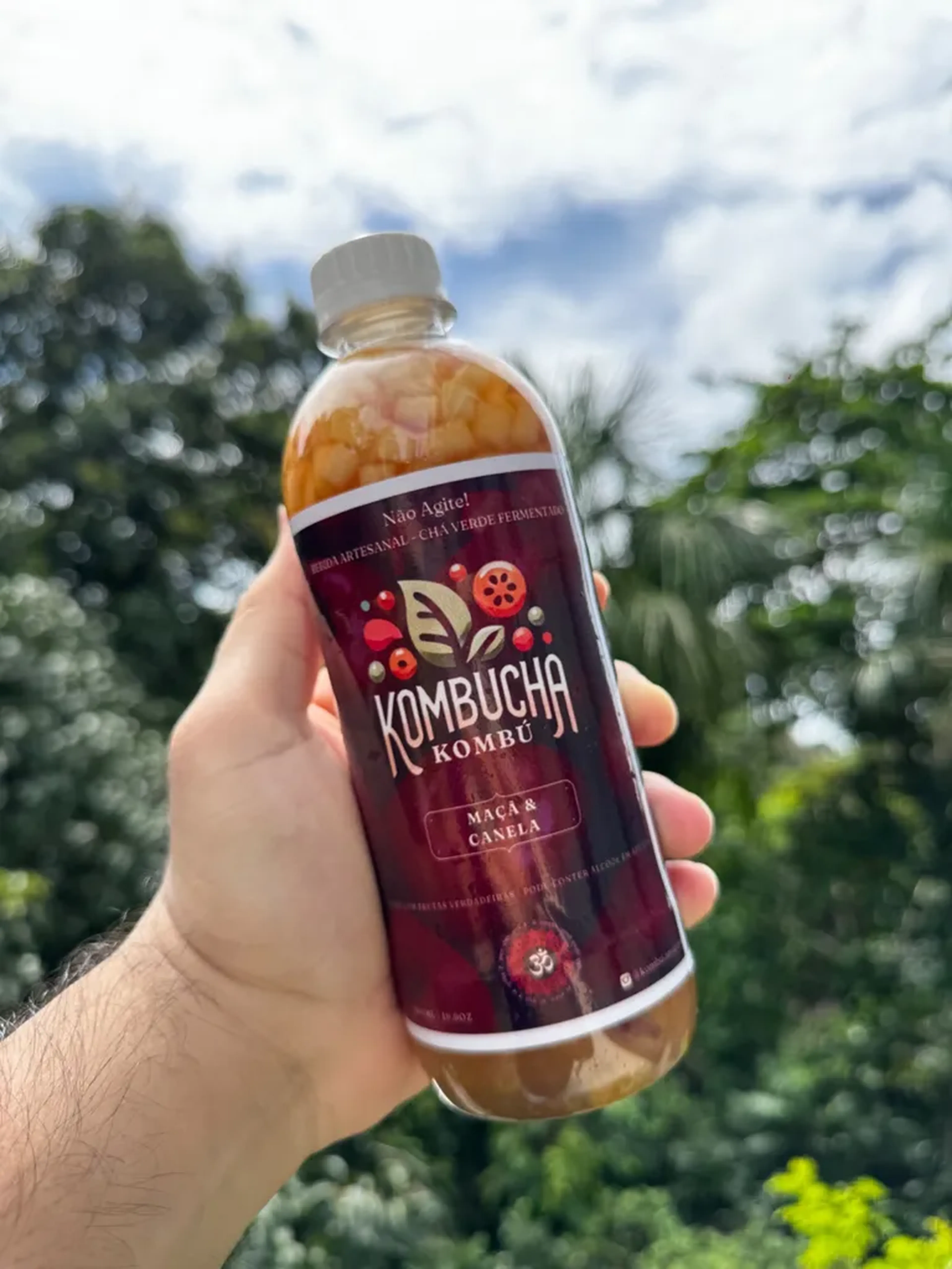 Kombucha de Maça e Canela 500ml imagem