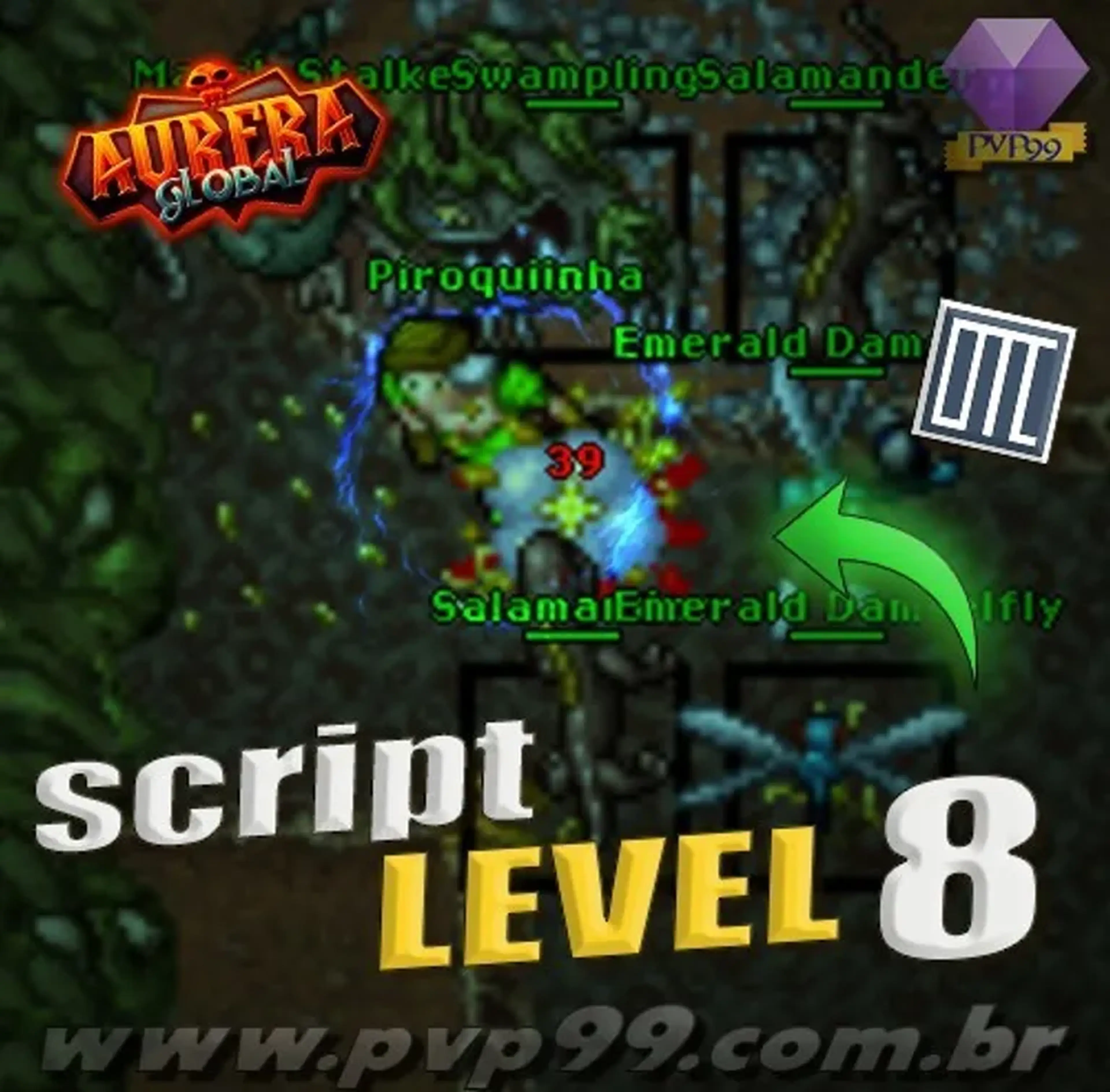 SCRIPT LEVEL 8 100% AFK imagem