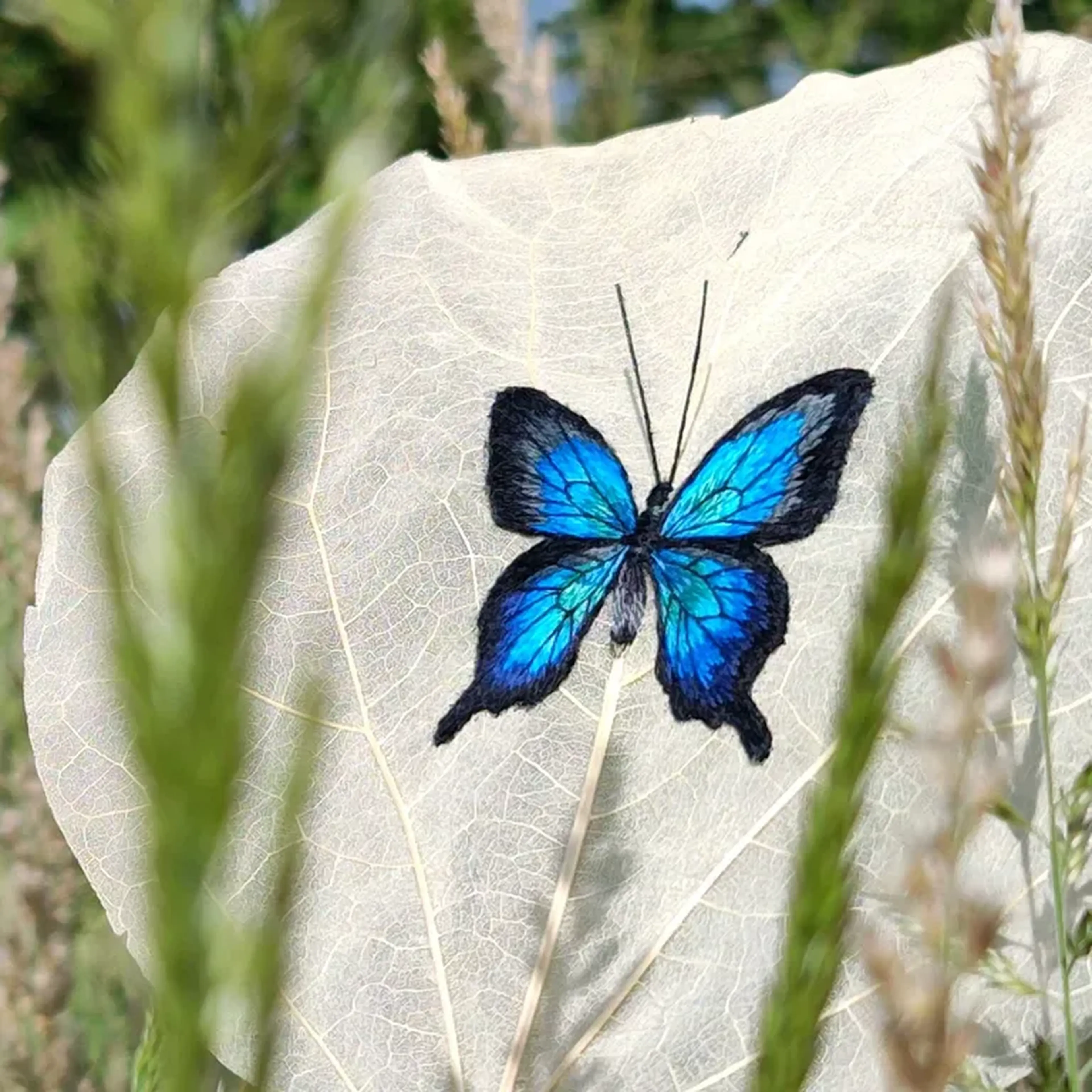 Borboleta Apostila Digital PDF + Videos imagem