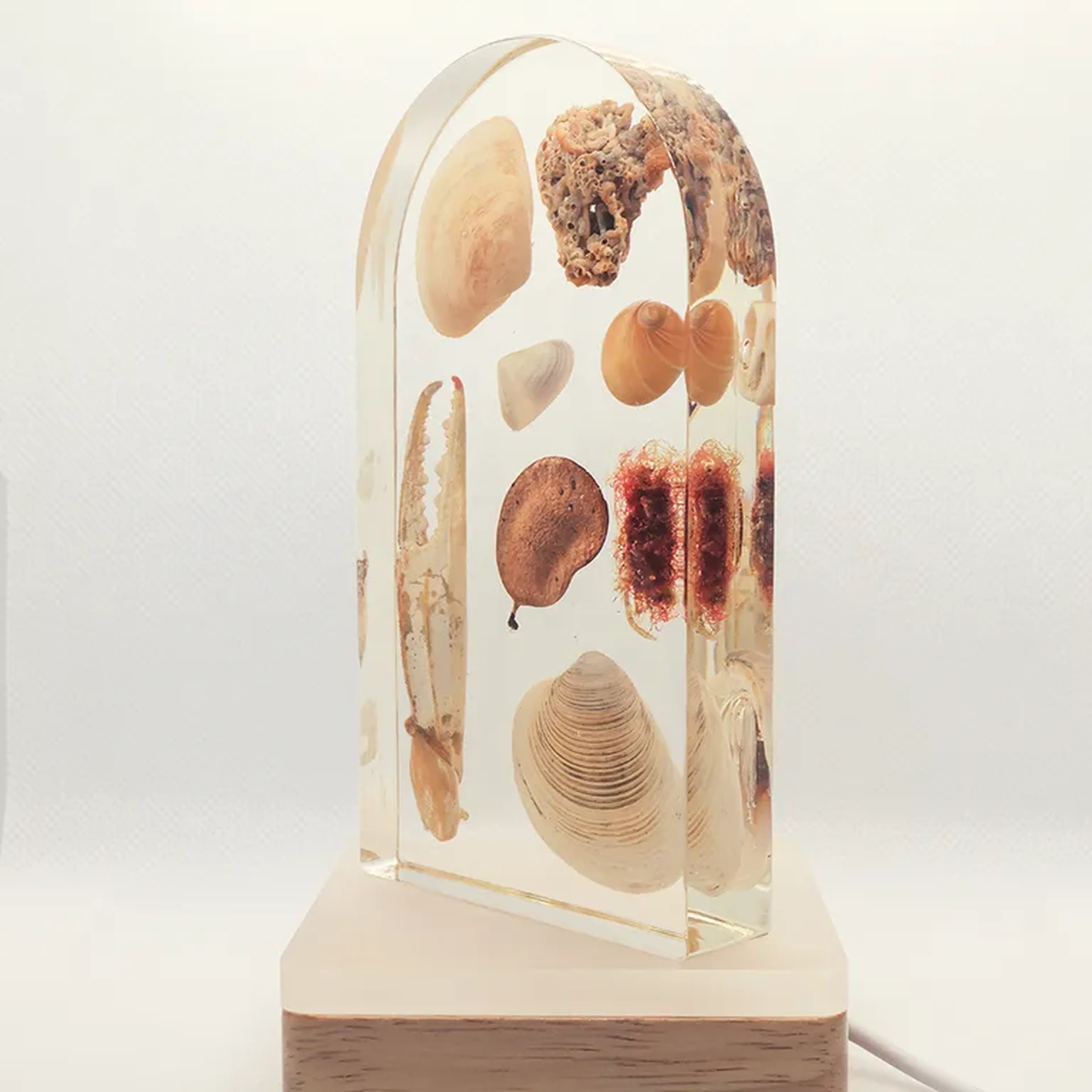 Luminária Arco P - Fragmentos do Mar imagem