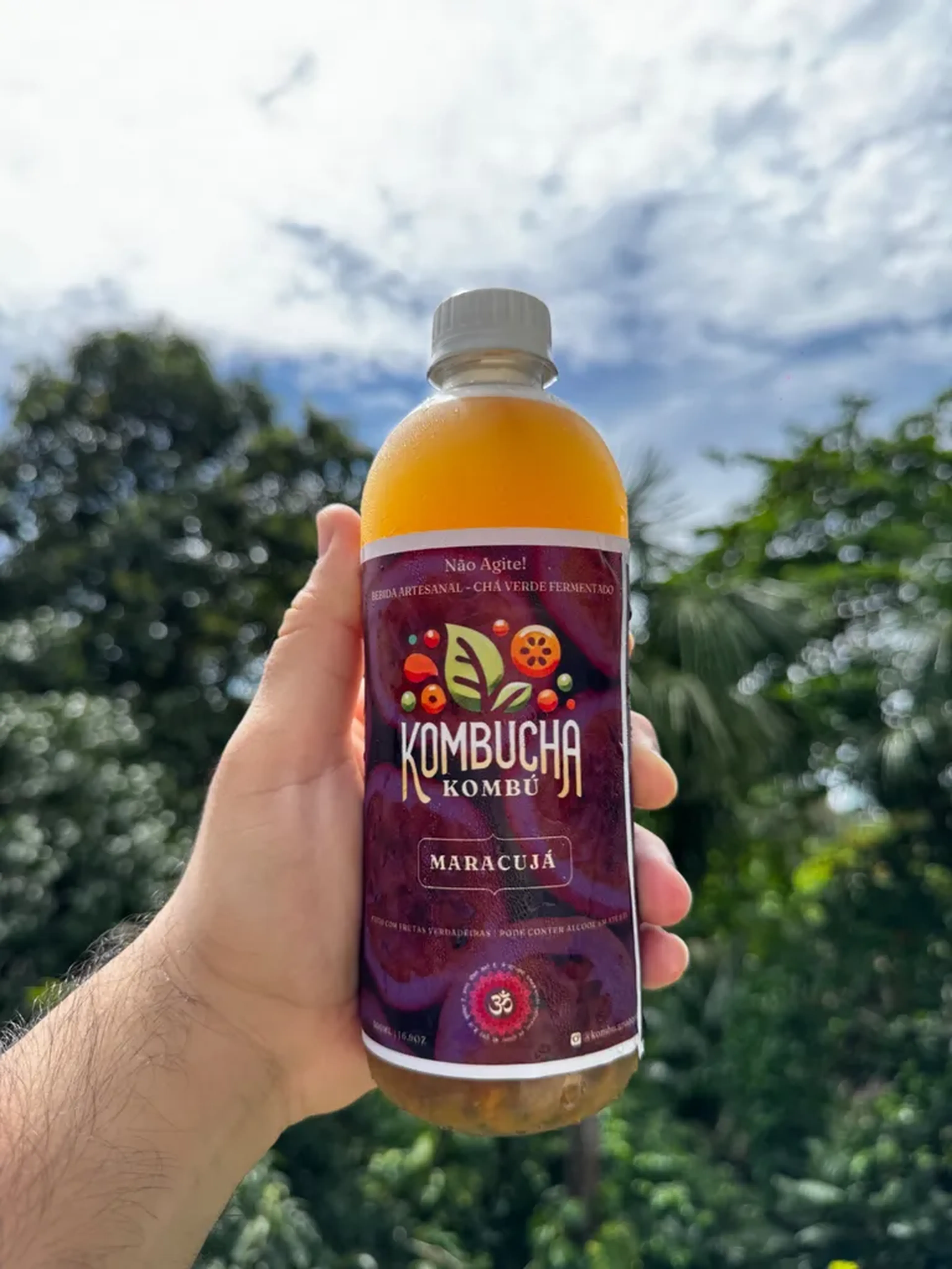Kombucha de Maracujá 500ml imagem