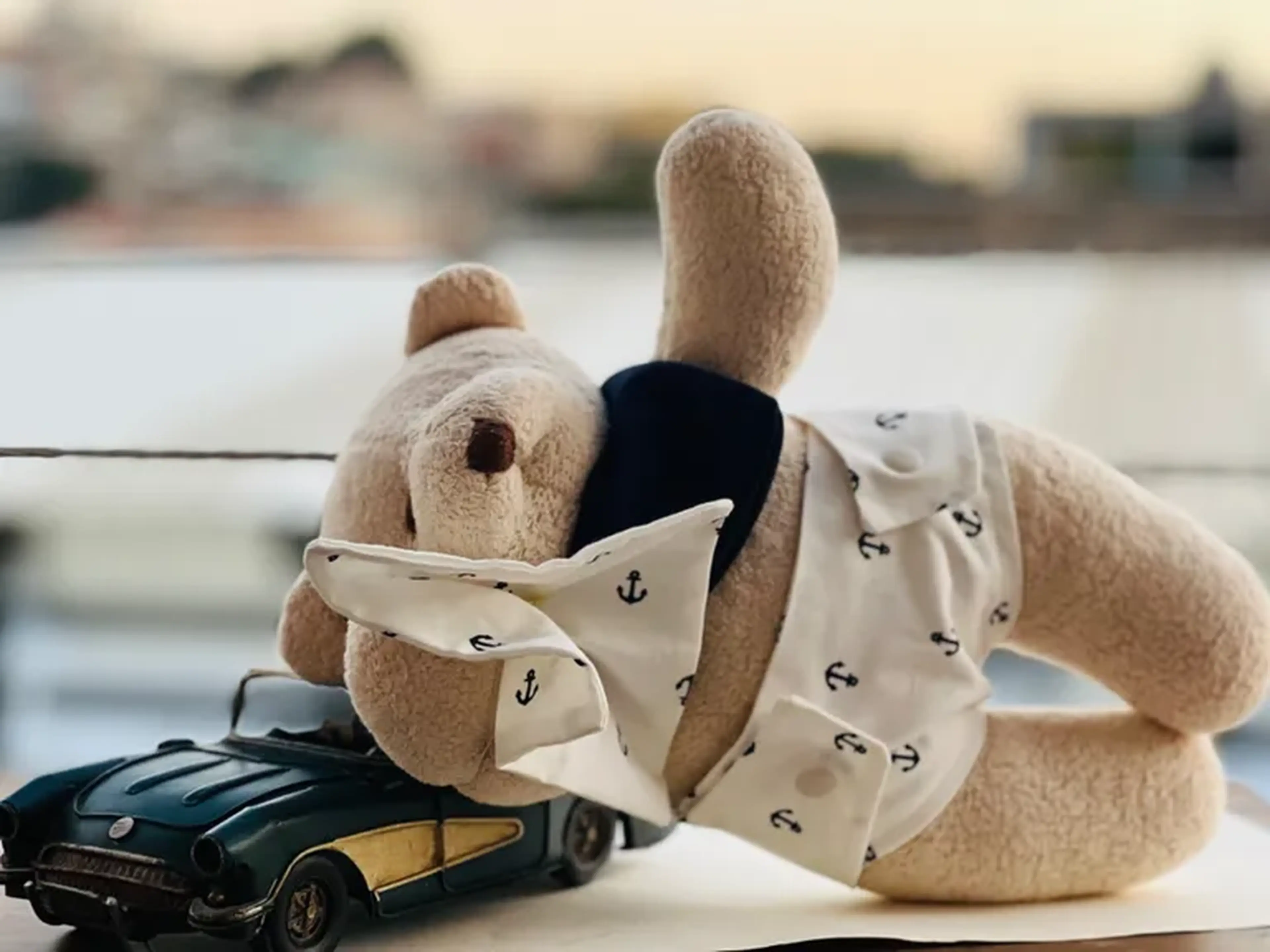 Urso ted naninha imagem