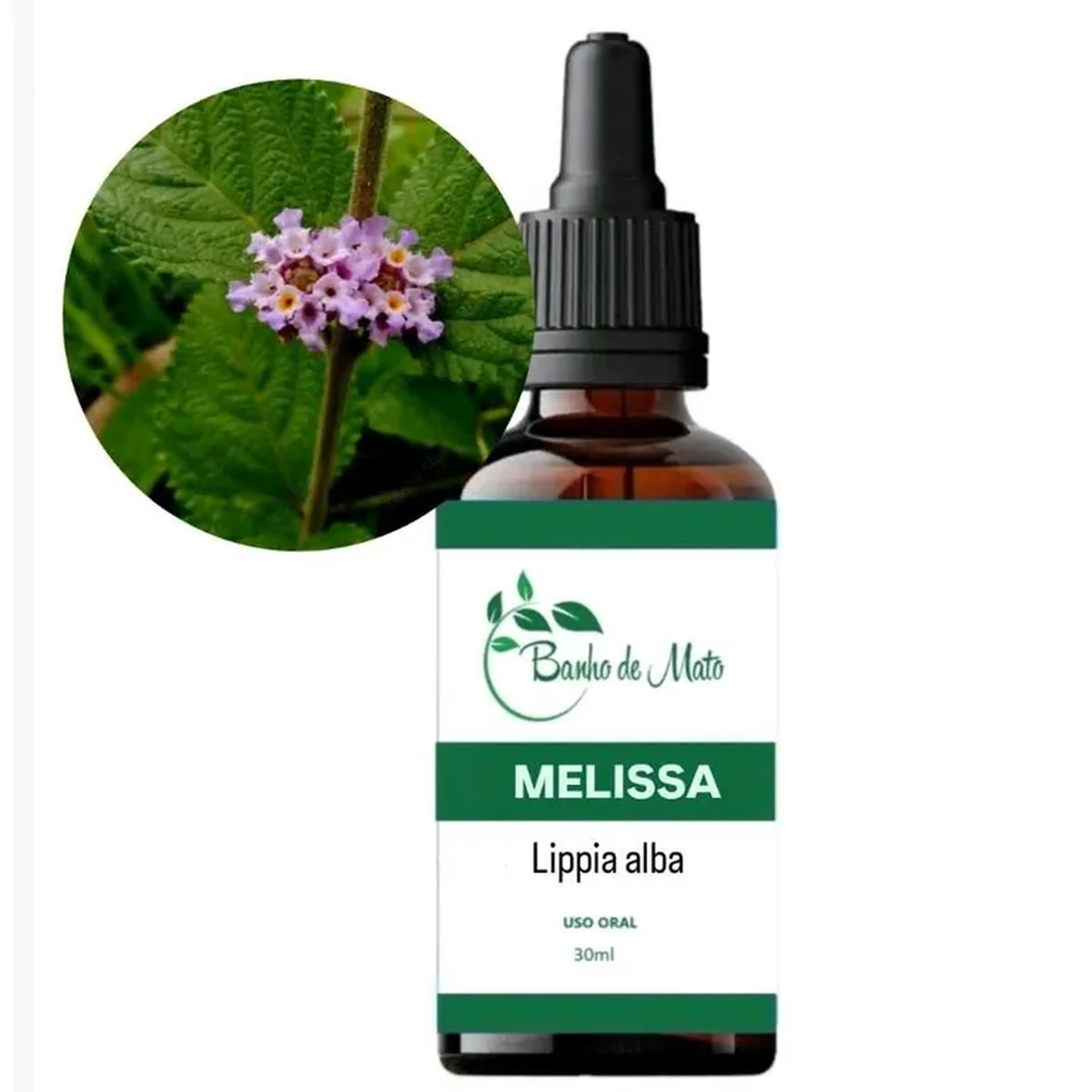 Extrato - MELISSA (Lippia alba) imagem