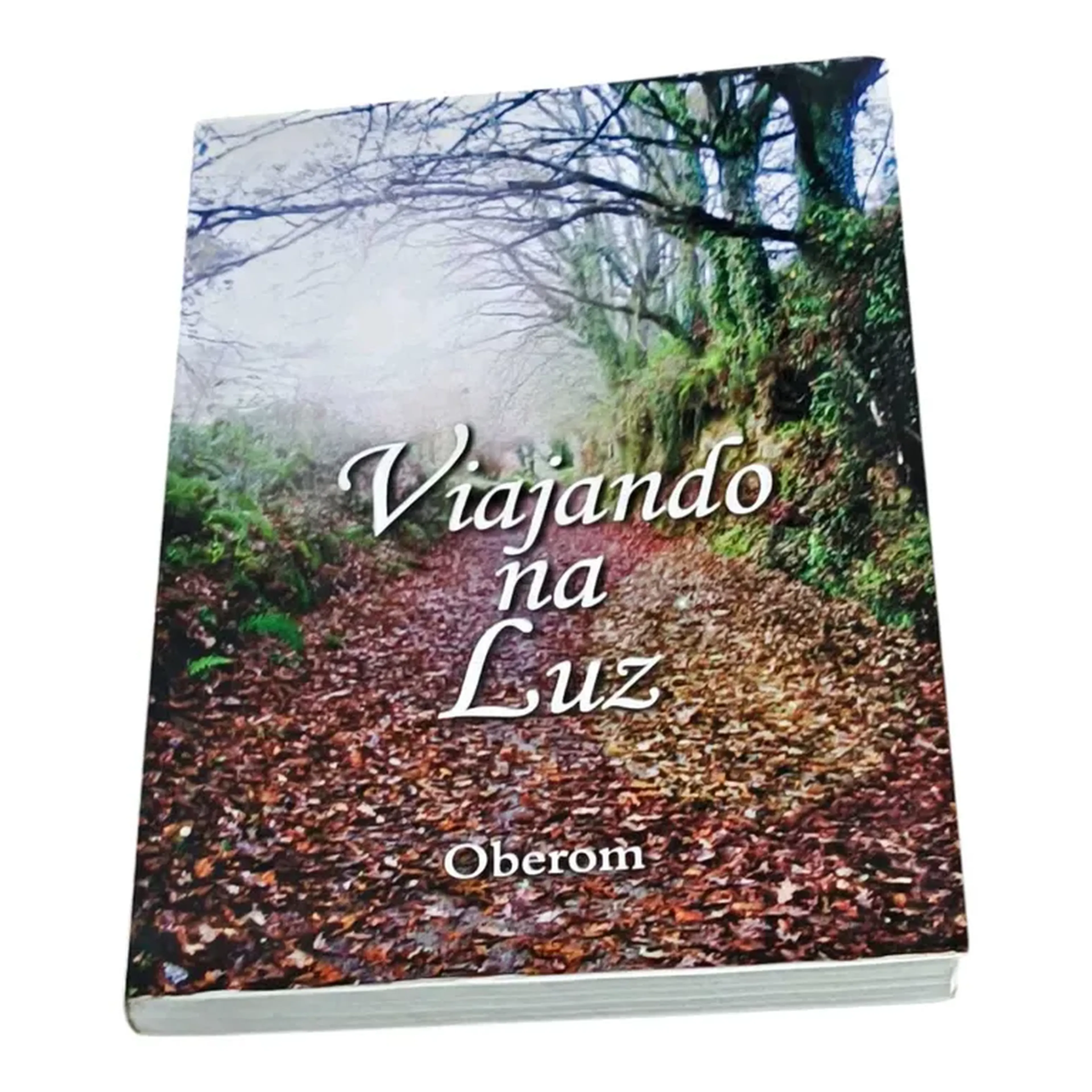 VIAJANDO NA LUZ imagem