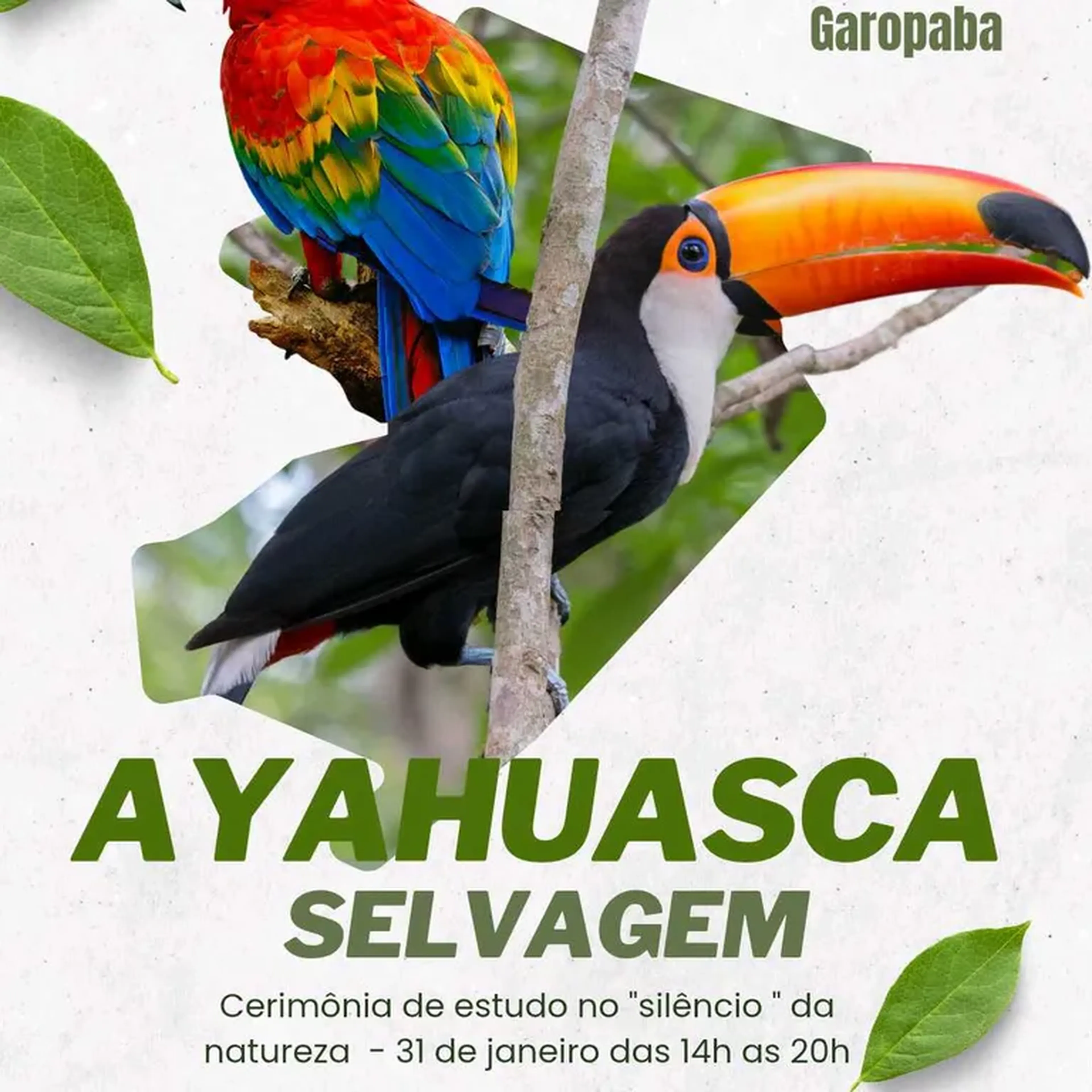 Cerimônia de Ayahuasca na mata - 31 janeiro imagem