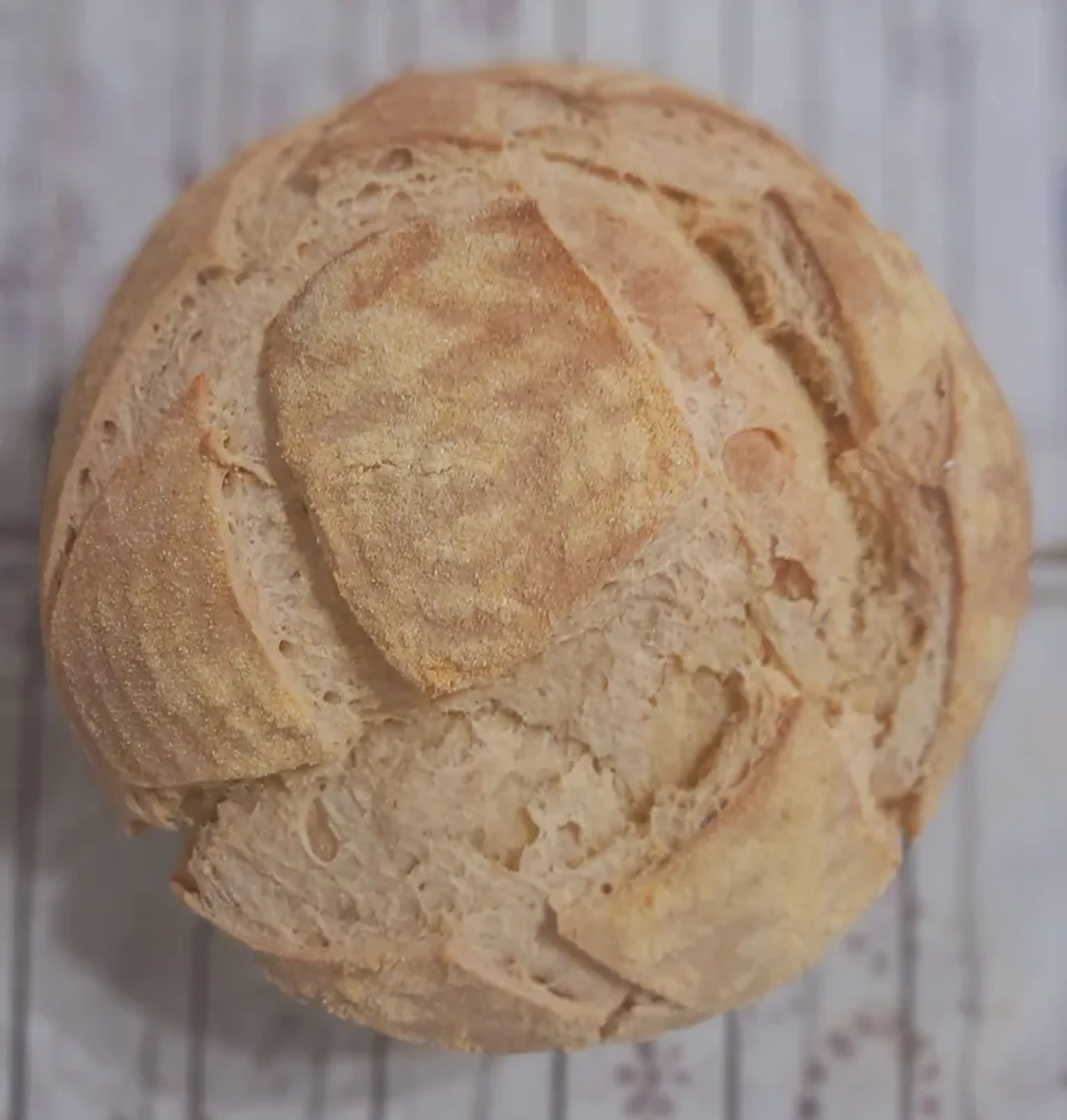 Pão Rústico Especial de Milho com Erva Doce 450gr imagem