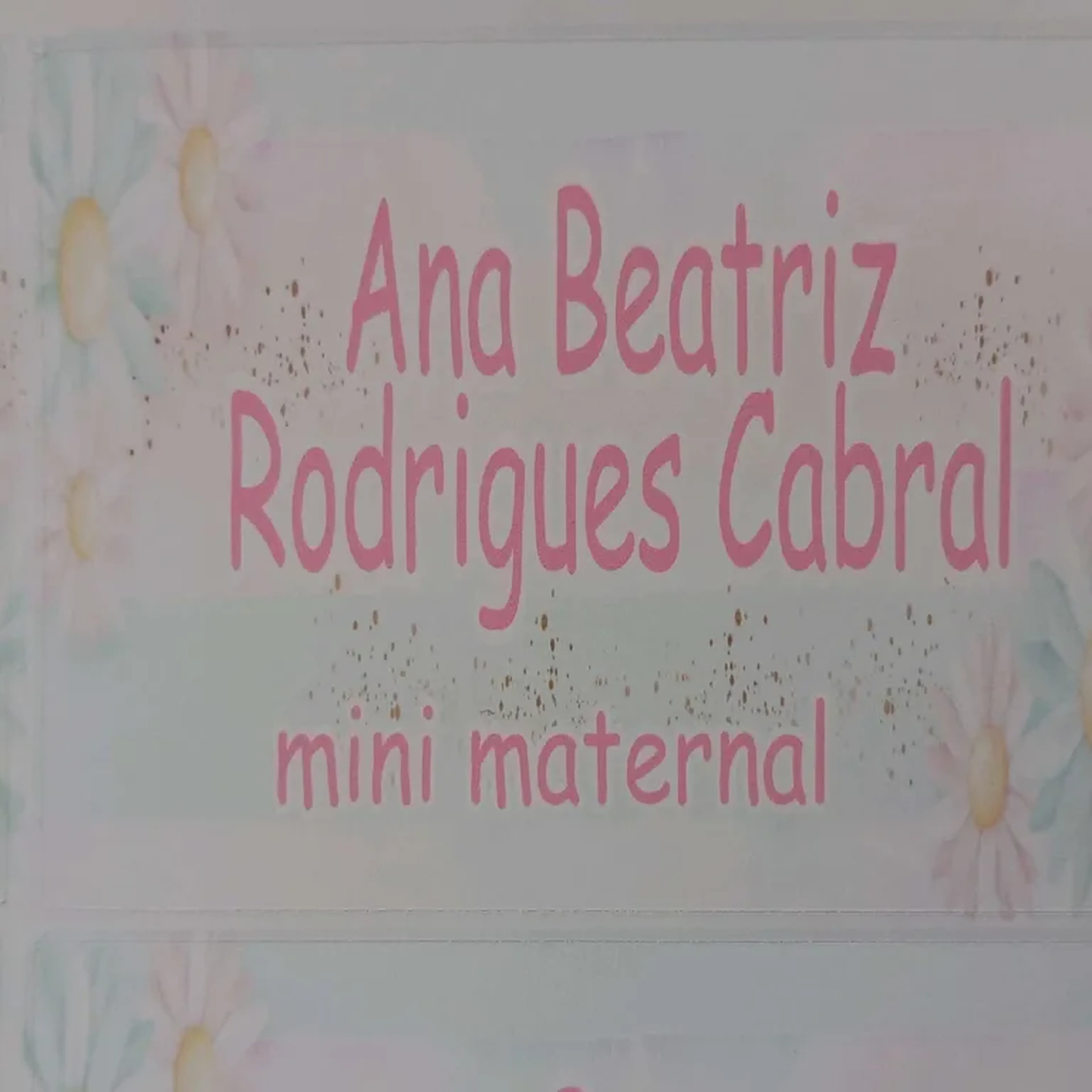 kit adesivo escolar margaridas imagem