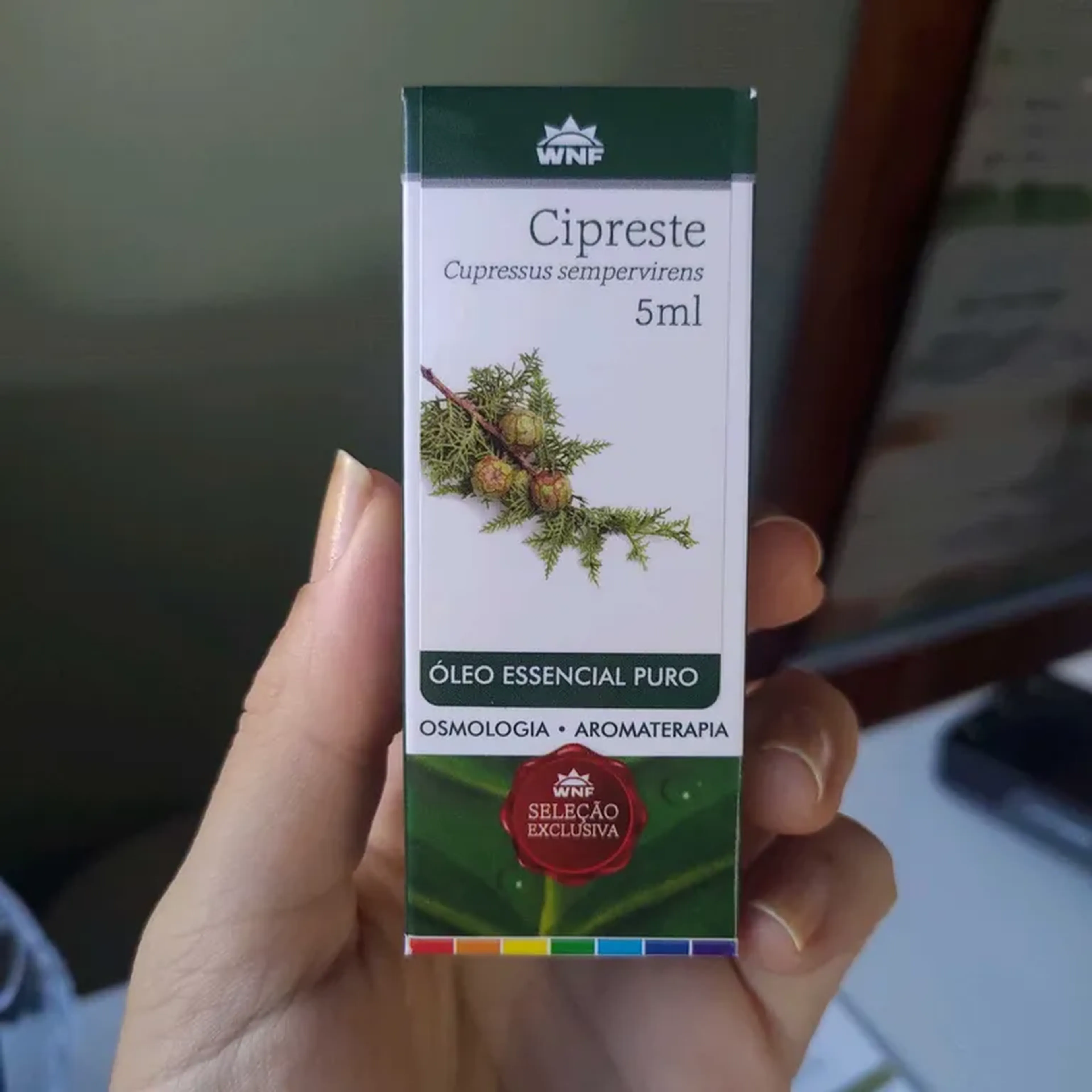 Óleo Essencial de Cipreste 5ml imagem