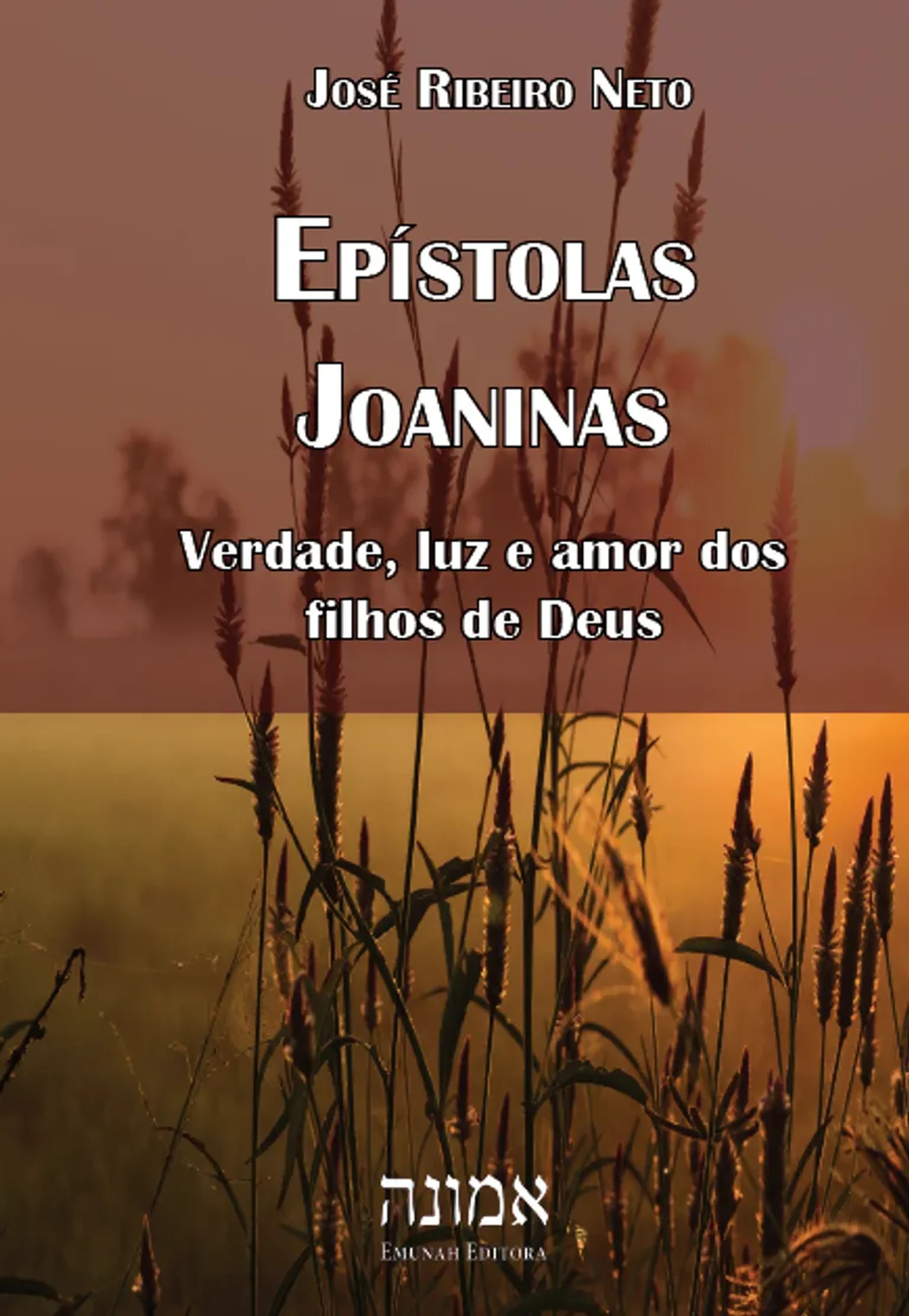 Epístolas Joaninas imagem
