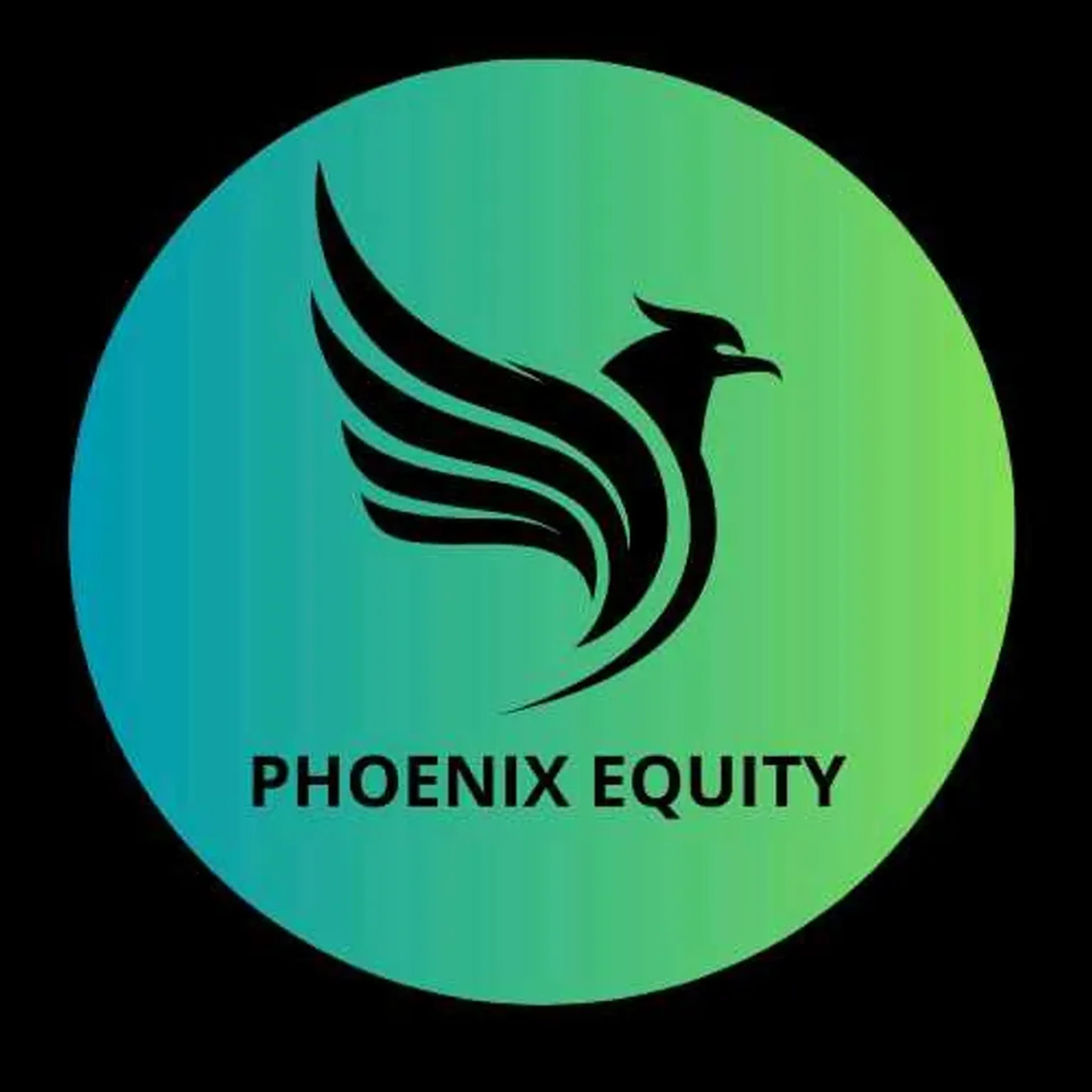 carteira Phoenix Equity imagem