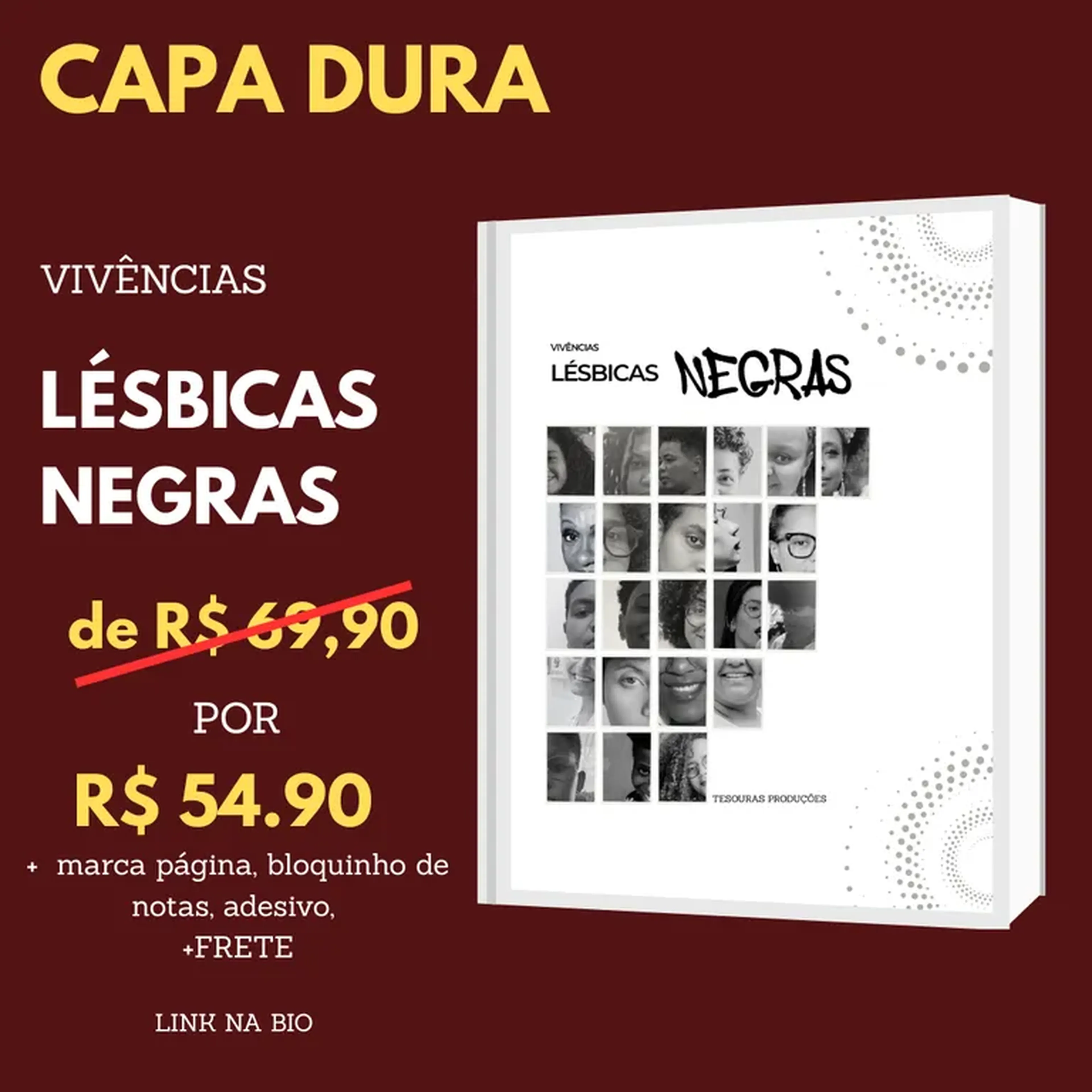 Vivências lésbicas Negras Capa Dura imagem