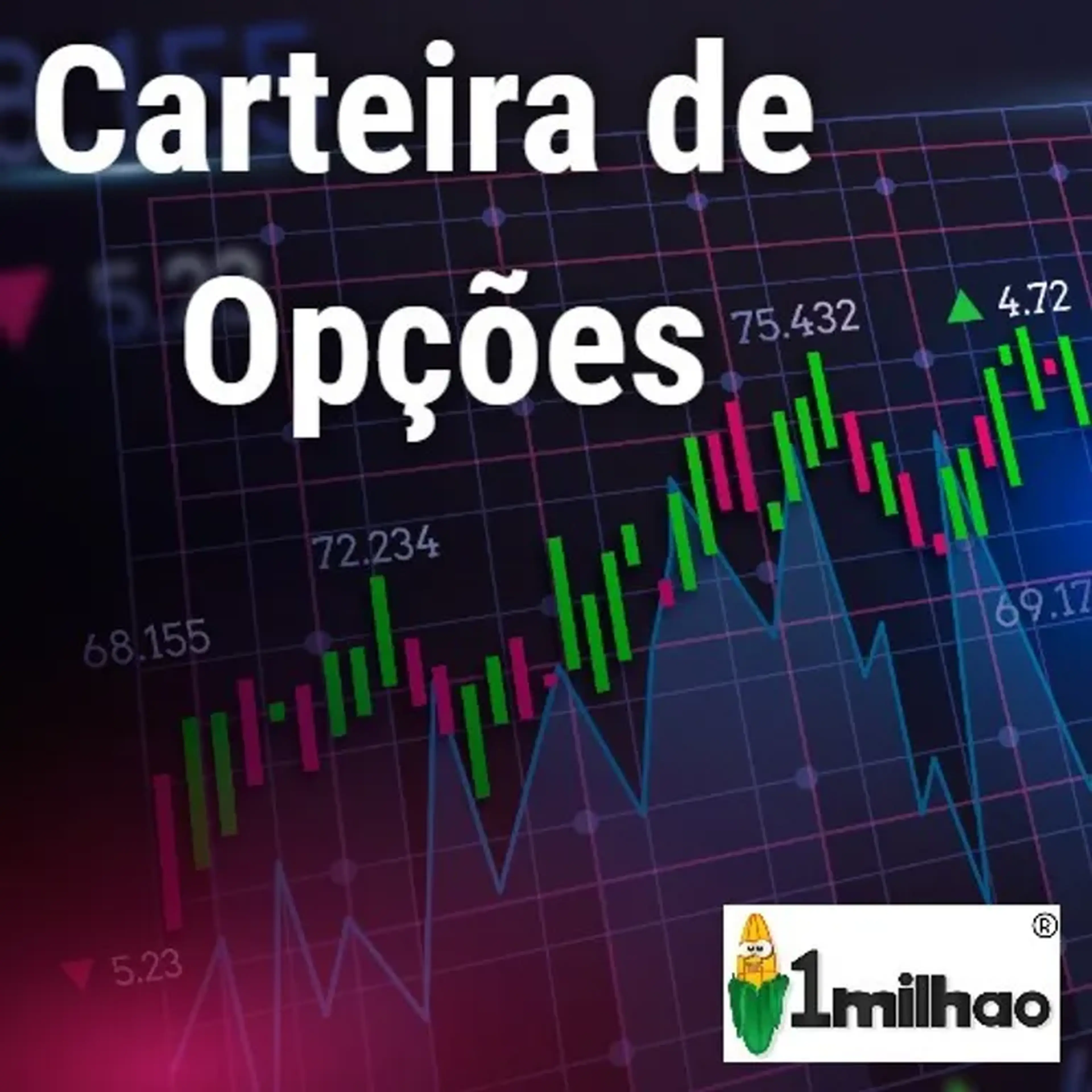 Carteira Semestral de Opções - 1milhao imagem