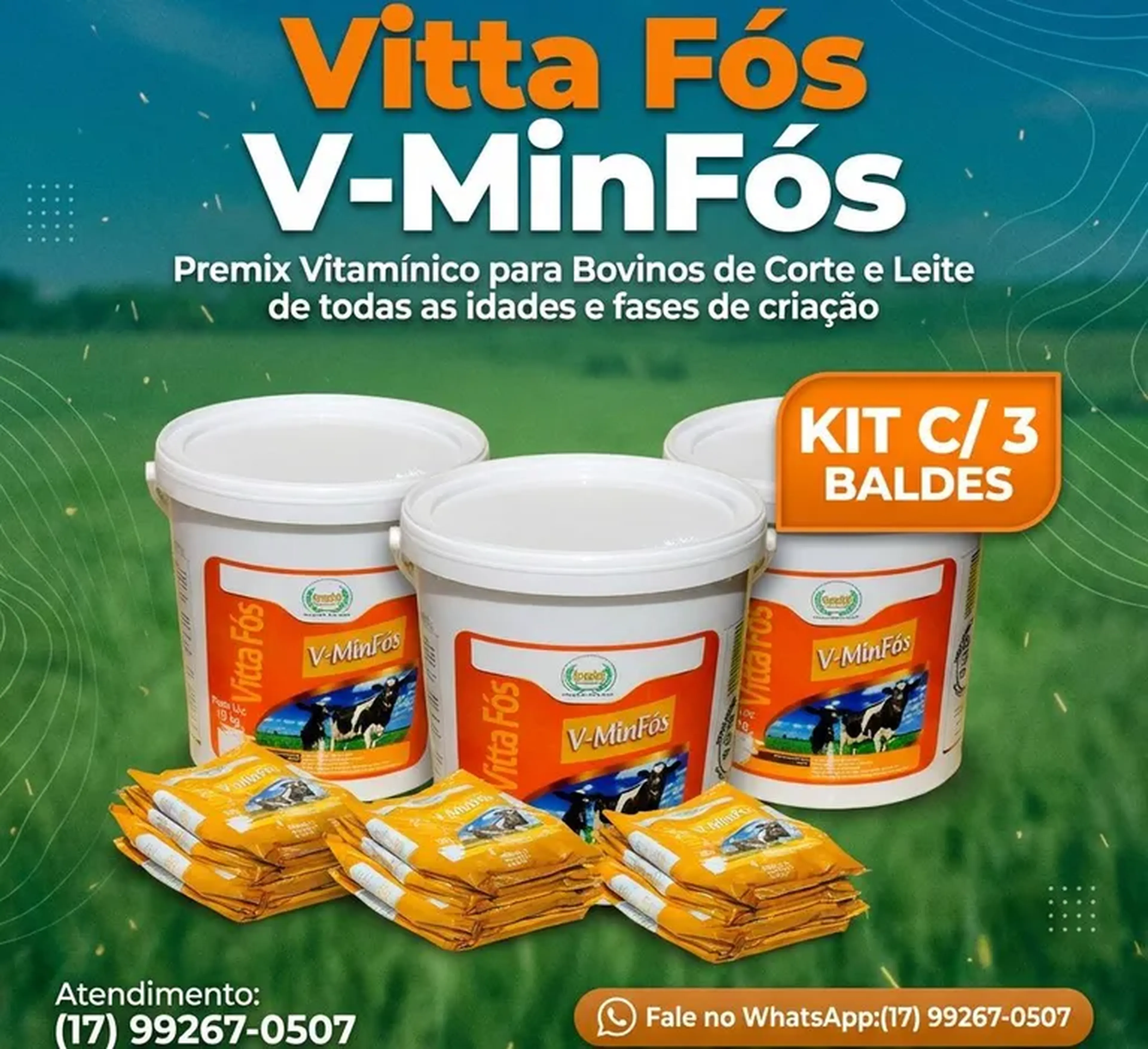 VITTA FÓS V-MINFÓS - KIT C 3 BALDES imagem