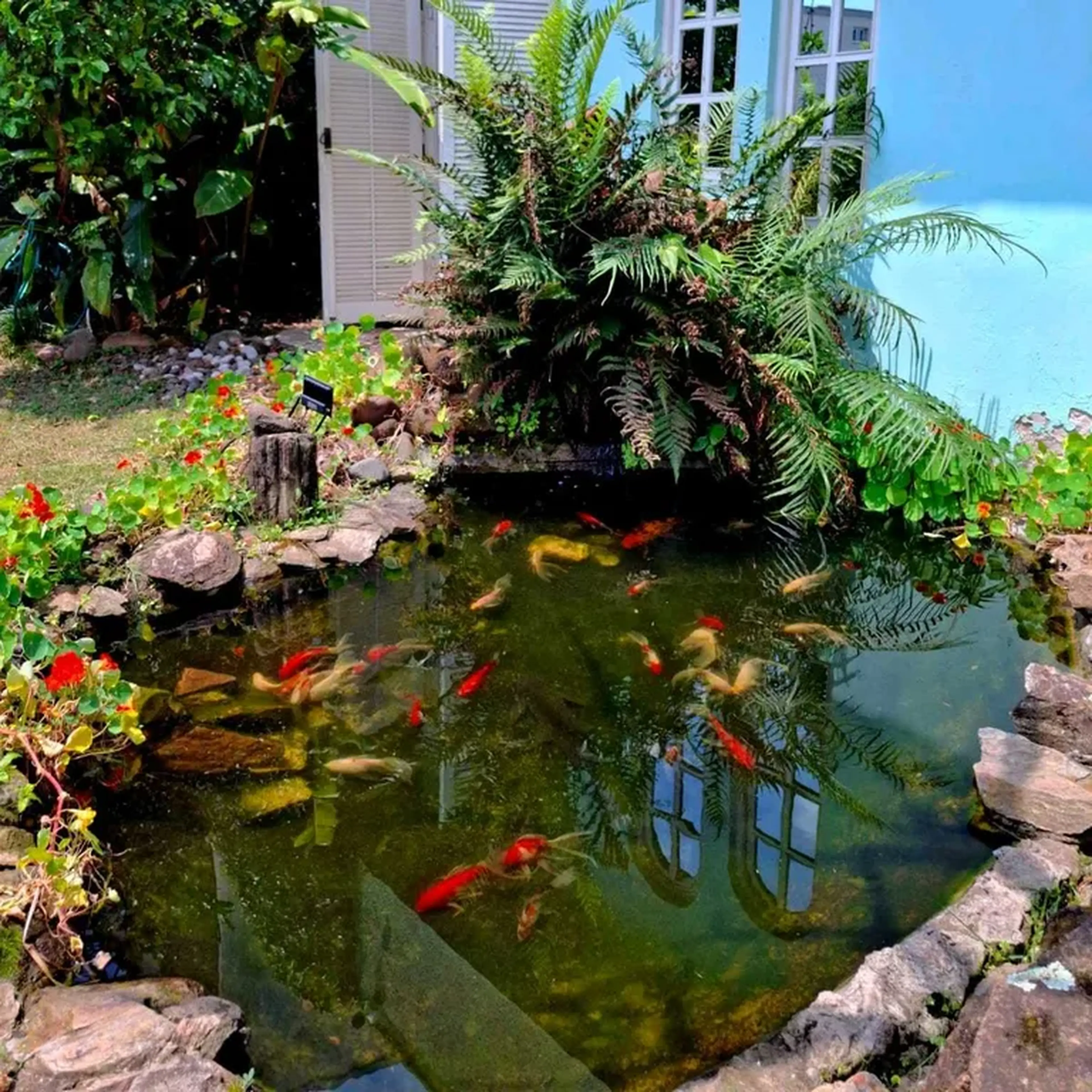 MANUTENÇÃO DE LAGOS imagem