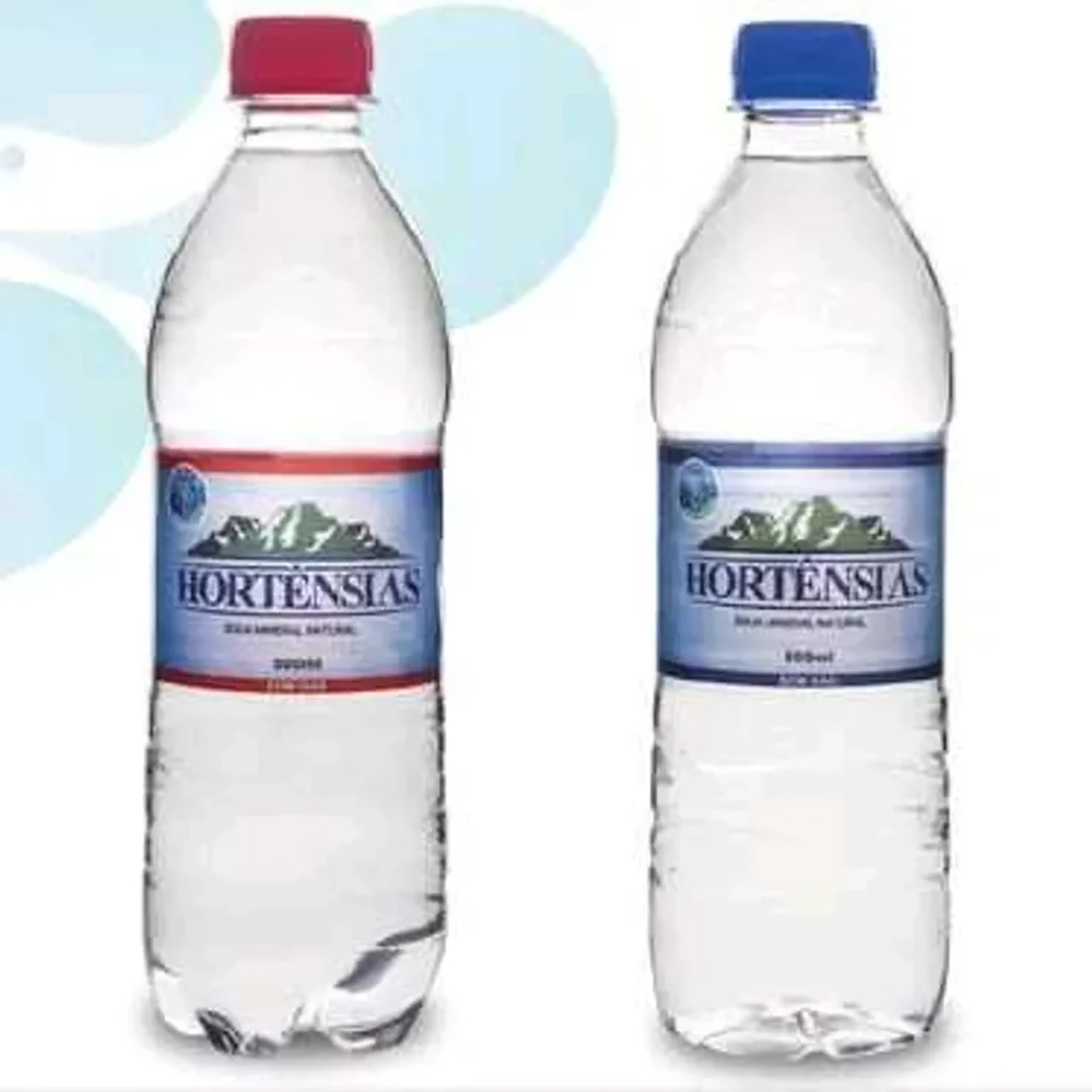 HORTÊNSIAS COM E SEM GÁS 500 ML imagem