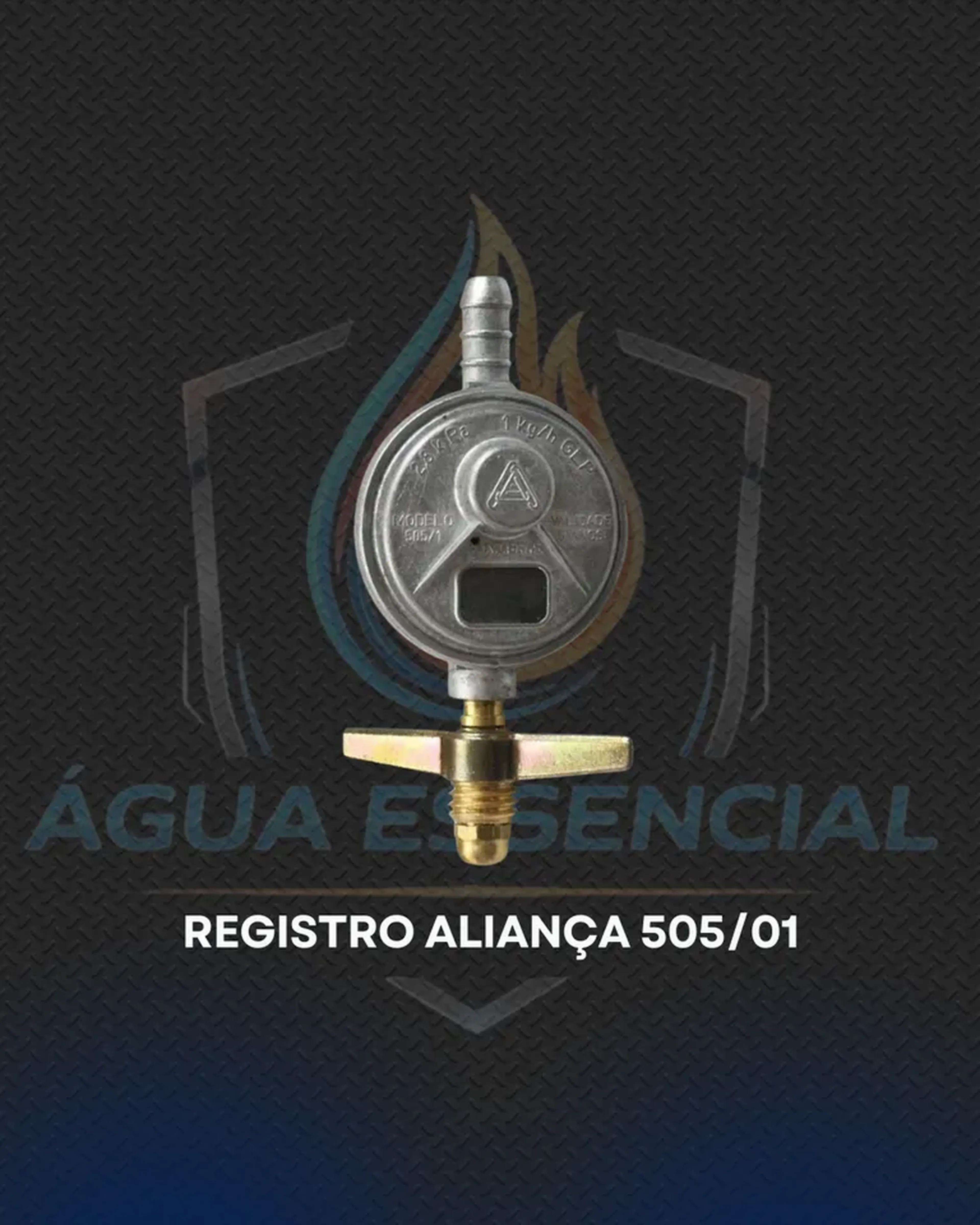 Registro Aliança 505-01 imagem